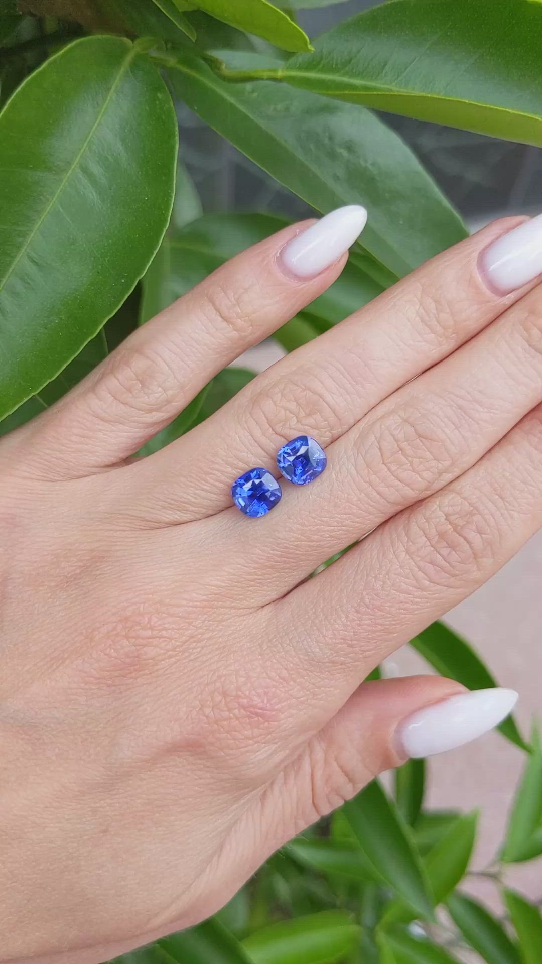 3.65&nbsp;Ct.Tw.Total Carat Weight Blue Sapphire Pair from Ceylon (Sri Lanka) Size Video