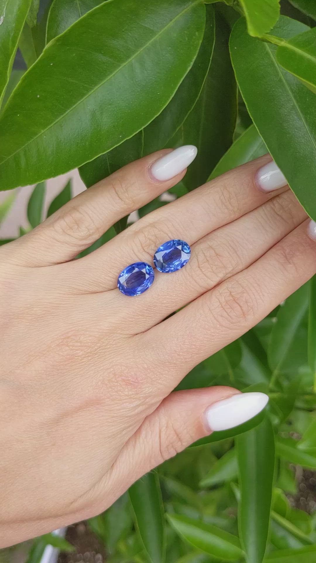 8.98 Ct.Tw.Total Carat Weight Blue Sapphire Pair from Ceylon (Sri Lanka) Size Video
