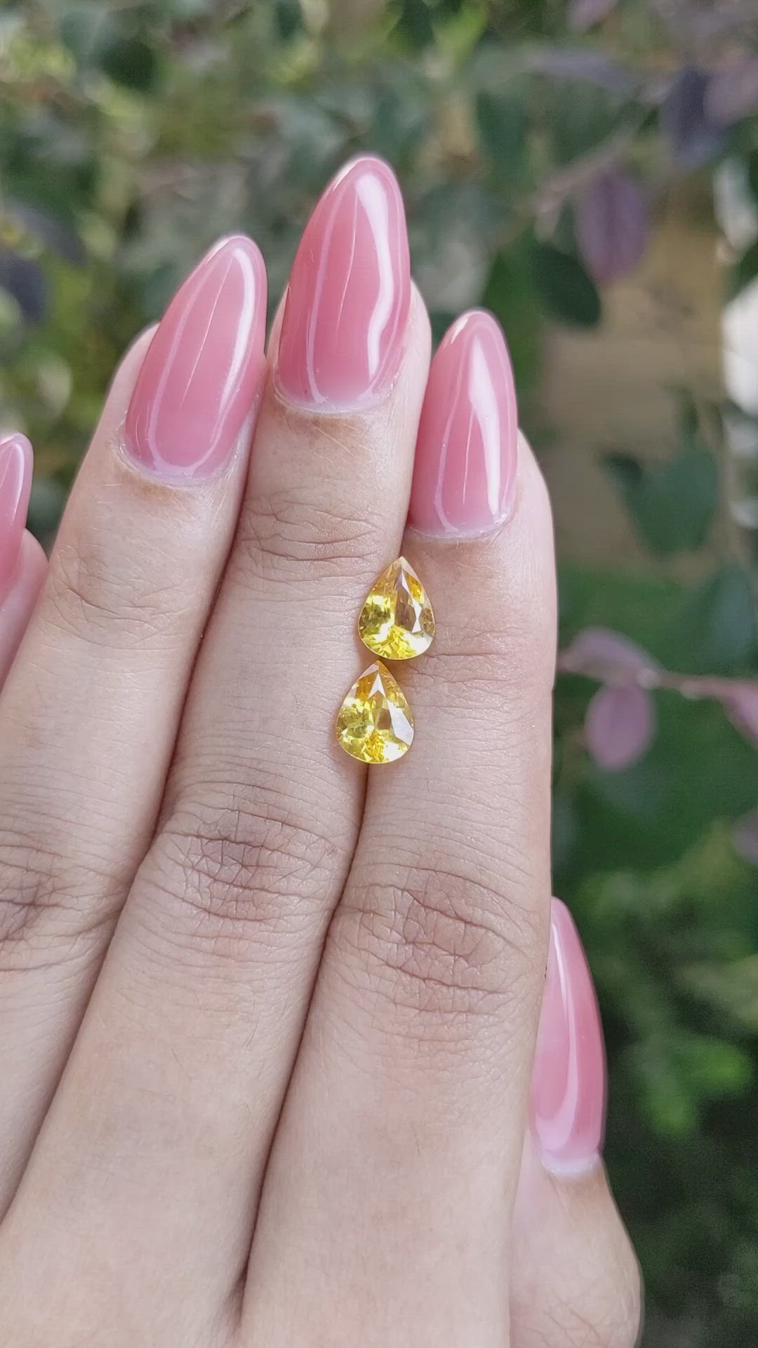 2.05 Ct.Tw.Total Carat Weight Orangish Yellow Sapphire Pair from Ceylon (Sri Lanka) Size Video