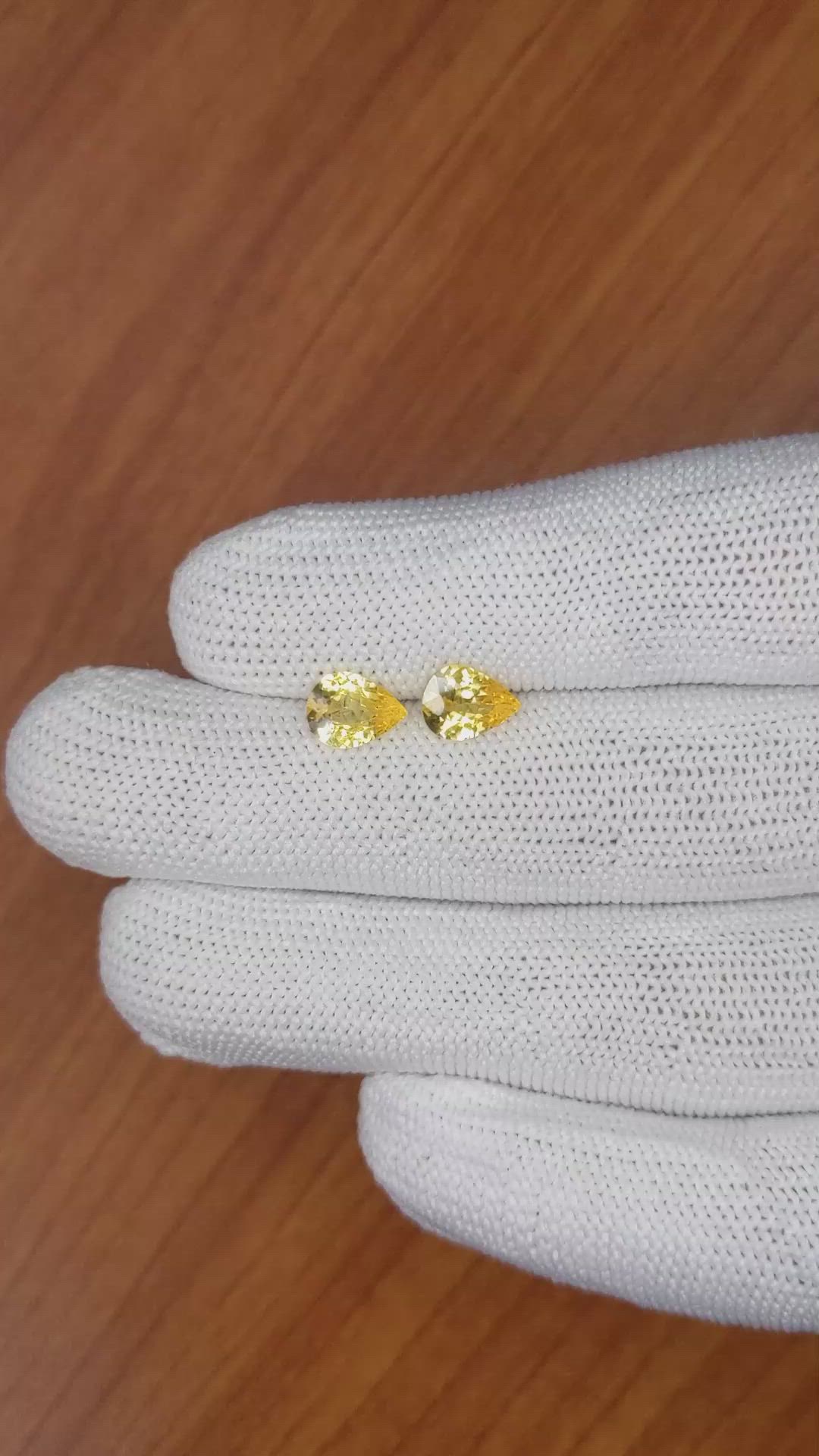 1.97&nbsp;Ct.Tw.Total Carat Weight Yellow Sapphire Pair from Ceylon (Sri Lanka) Size Video