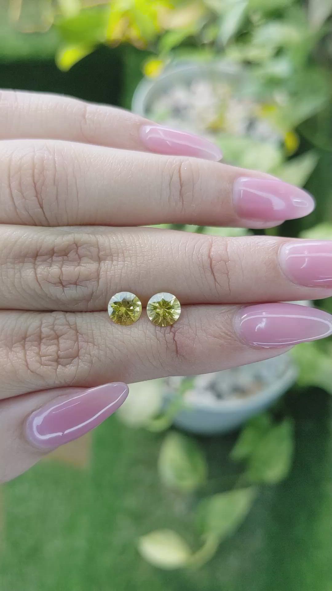 1.89 Ct.Tw.Total Carat Weight Yellow Sapphire Pair from Ceylon (Sri Lanka) Size Video