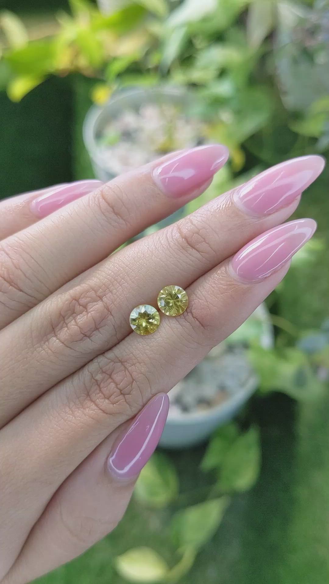 1.89 Ct.Tw.Total Carat Weight Yellow Sapphire Pair from Ceylon (Sri Lanka) Size Video