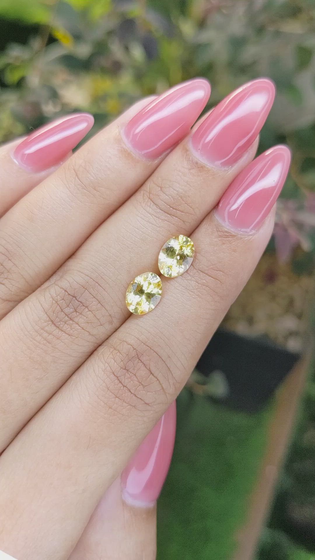 2.74&nbsp;Ct.Tw.Total Carat Weight Yellow Sapphire Pair from Ceylon (Sri Lanka) Size Video