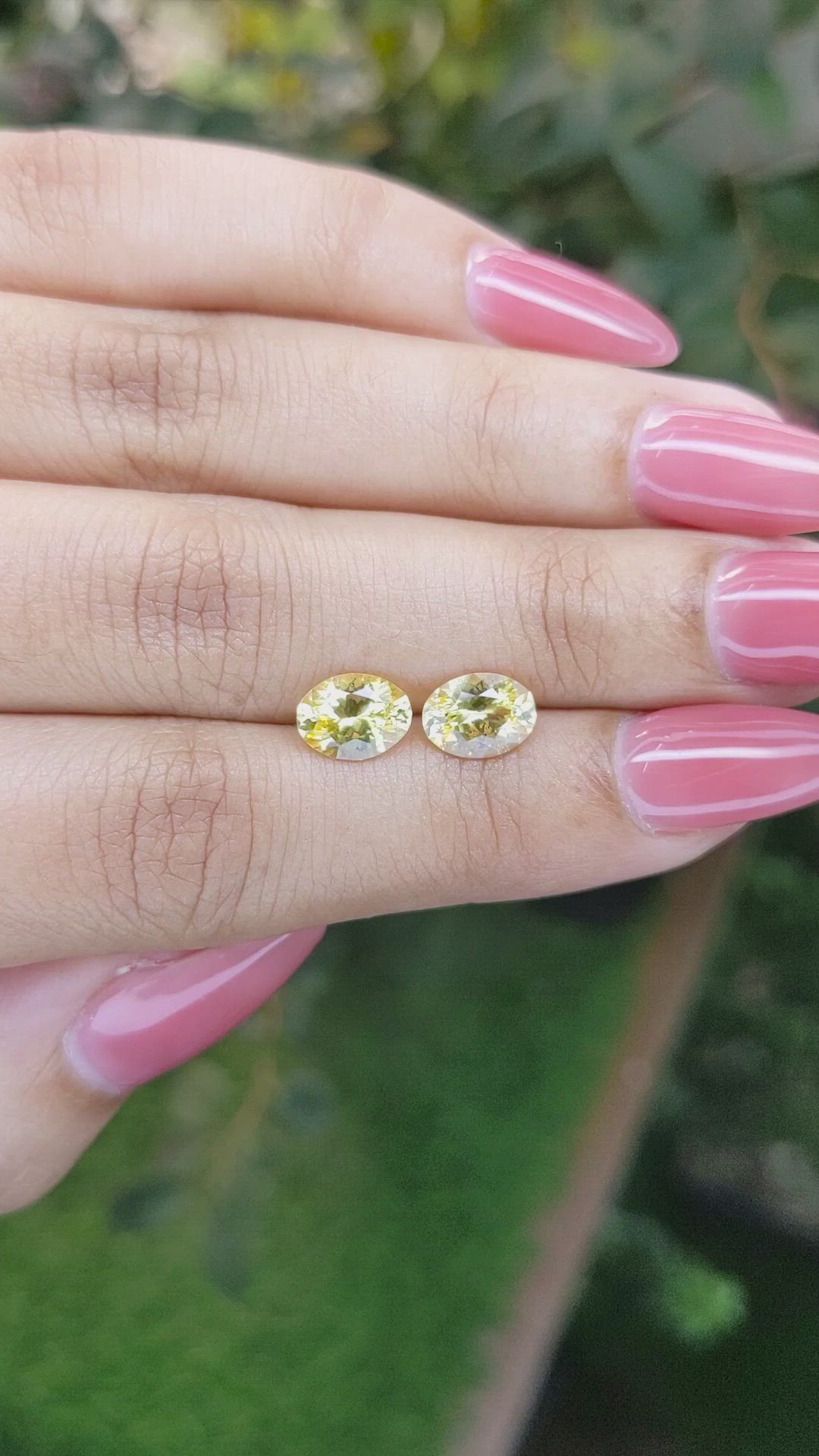 2.74&nbsp;Ct.Tw.Total Carat Weight Yellow Sapphire Pair from Ceylon (Sri Lanka) Size Video