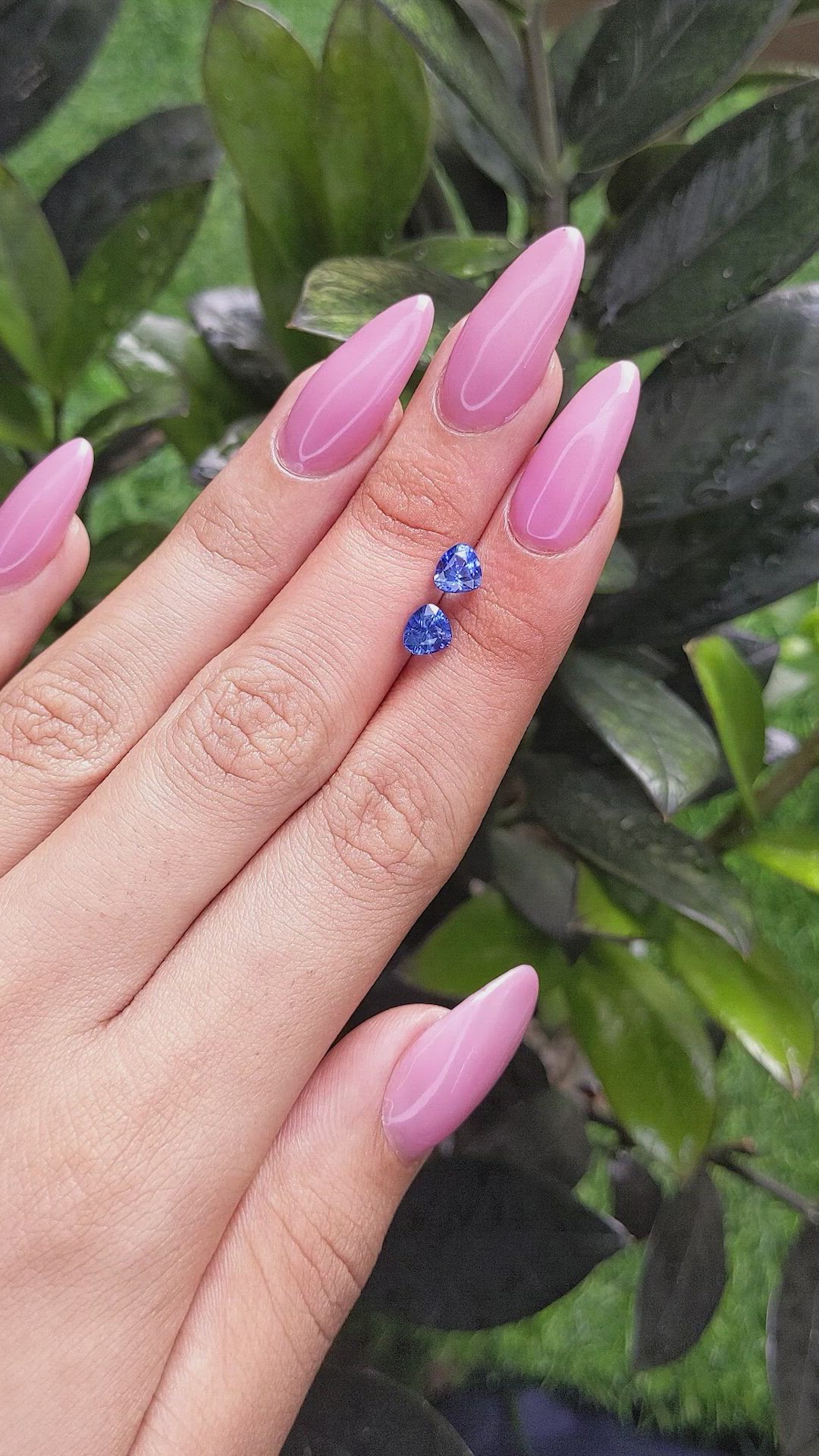 2.10&nbsp;Ct.Tw.Total Carat Weight Blue Sapphire Pair from Ceylon (Sri Lanka) Size Video