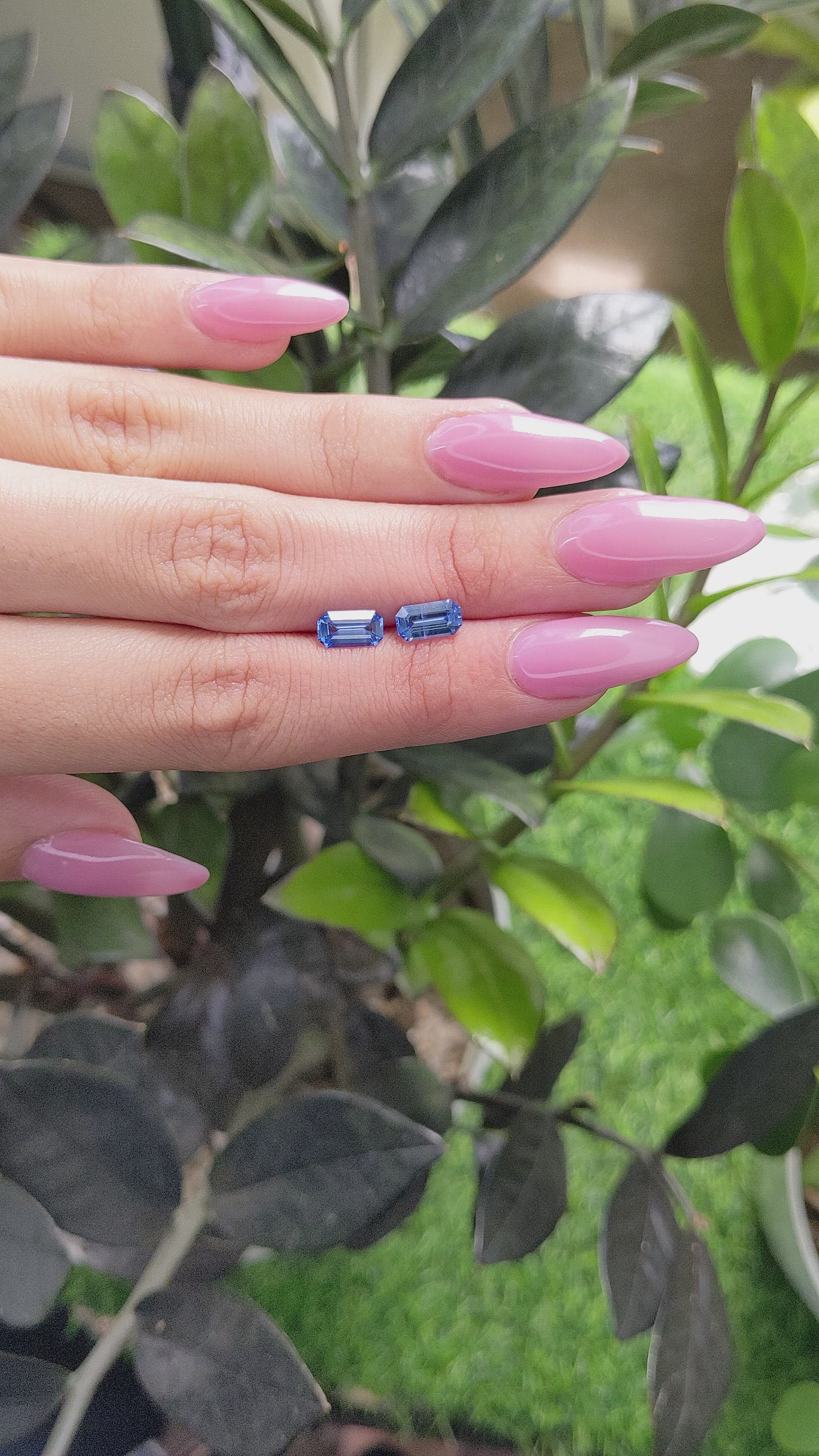 2.09&nbsp;Ct.Tw.Total Carat Weight Blue Sapphire Pair from Ceylon (Sri Lanka) Size Video