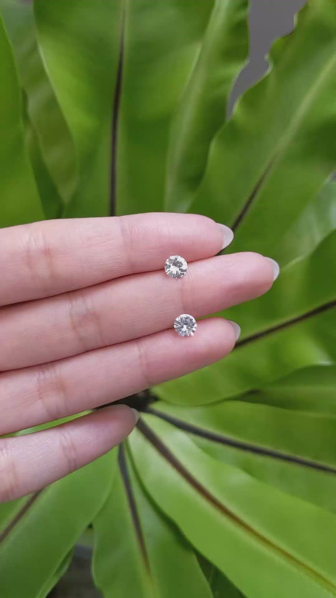 1.44&nbsp;Ct.Tw.Total Carat Weight White Sapphire Pair from Ceylon (Sri Lanka) Size Video