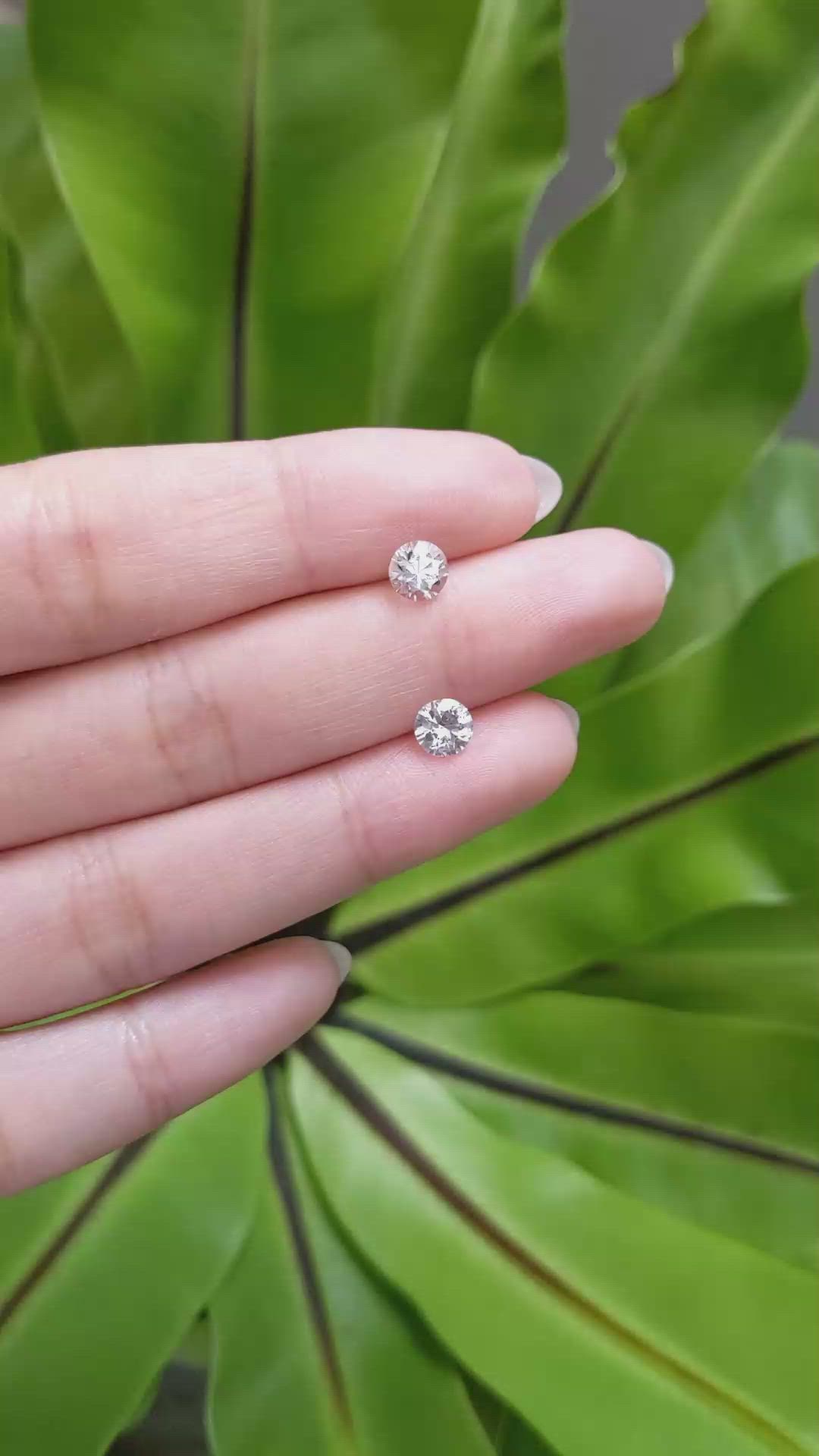 1.57 Ct.Tw.Total Carat Weight White Sapphire Pair from Ceylon (Sri Lanka) Size Video