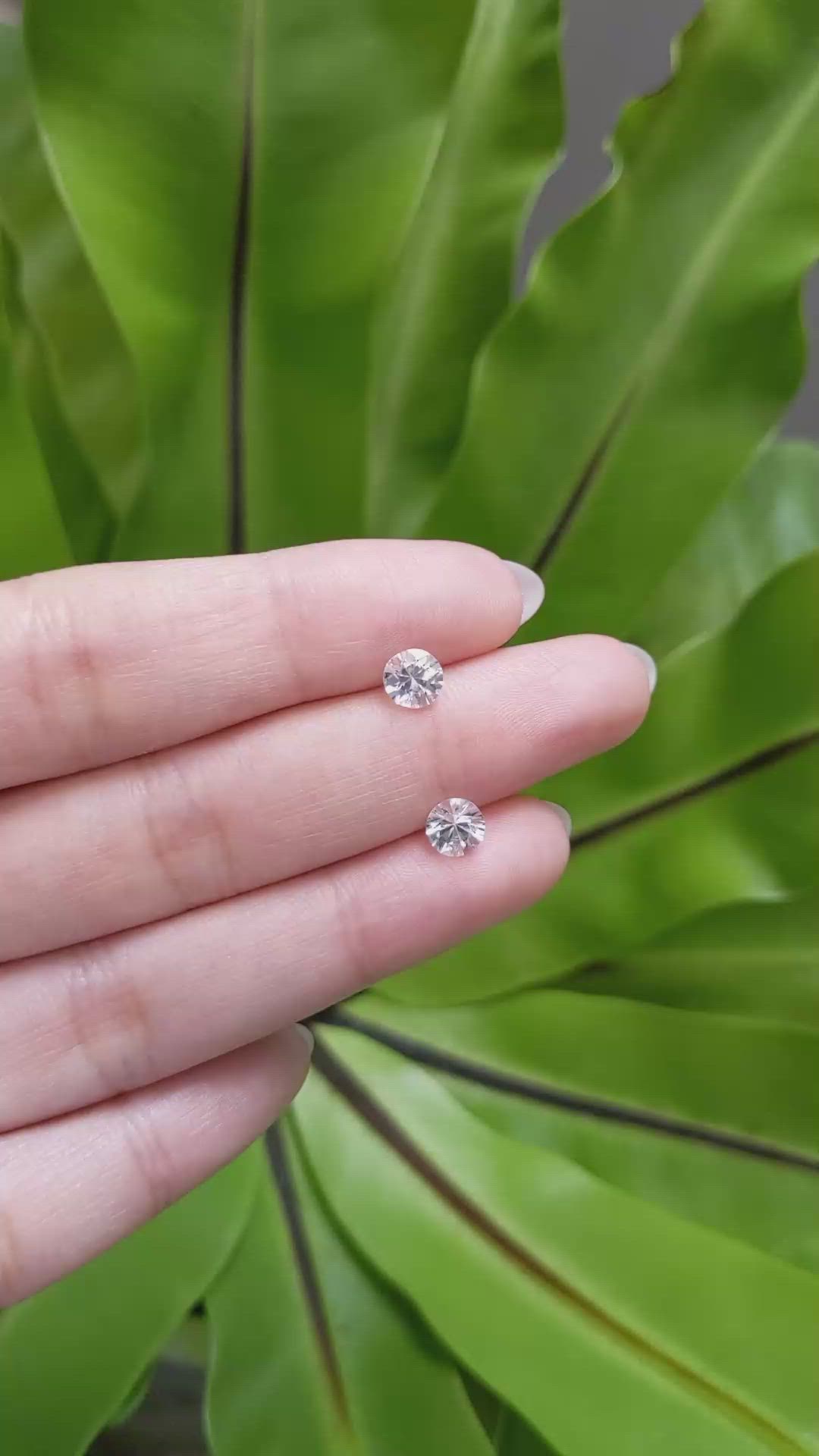 1.68&nbsp;Ct.Tw.Total Carat Weight White Sapphire Pair from Ceylon (Sri Lanka) Size Video