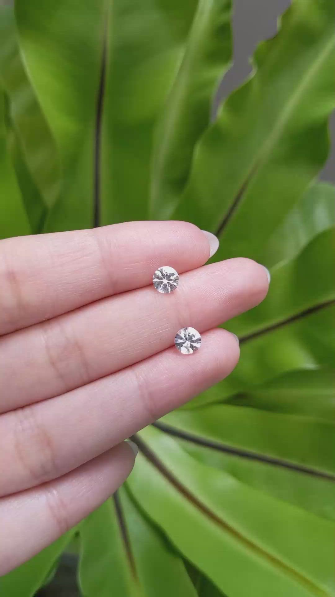 1.64 Ct.Tw.Total Carat Weight White Sapphire Pair from Ceylon (Sri Lanka) Size Video