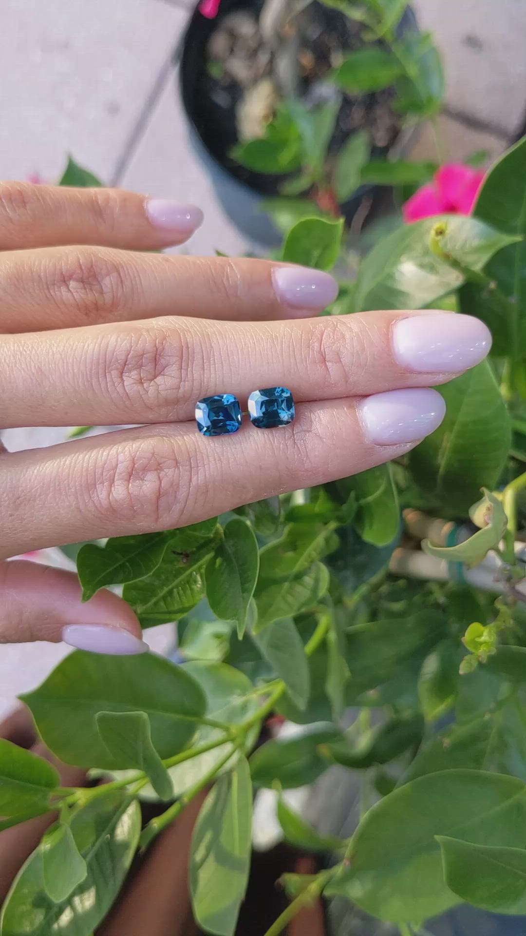 4.10&nbsp;Ct.Tw.Total Carat Weight Greenish Blue Sapphire Pair from Ceylon (Sri Lanka) Size Video