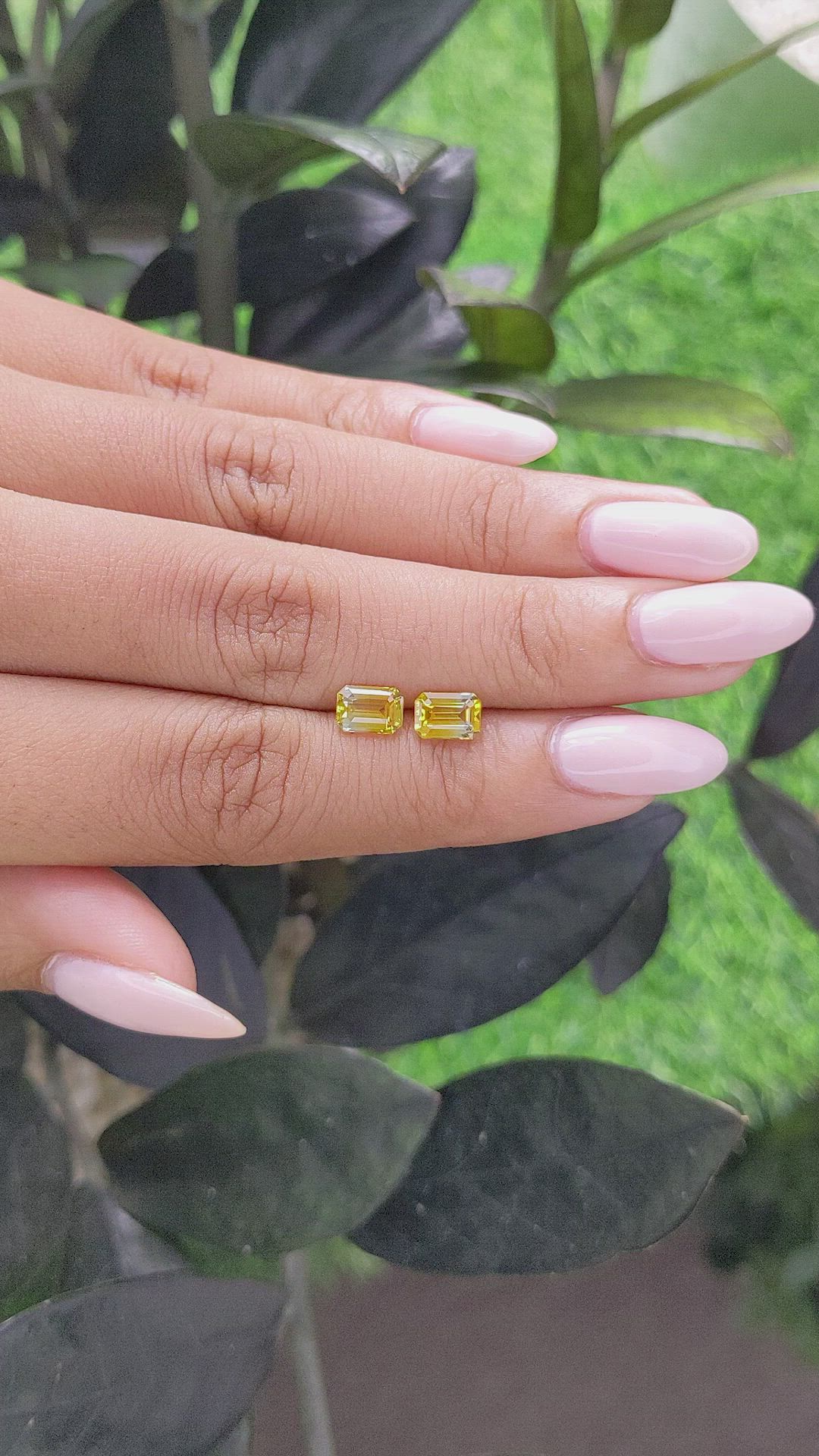 2.06&nbsp;Ct.Tw.Total Carat Weight Bi Color Sapphire Pair from Ceylon (Sri Lanka) Size Video