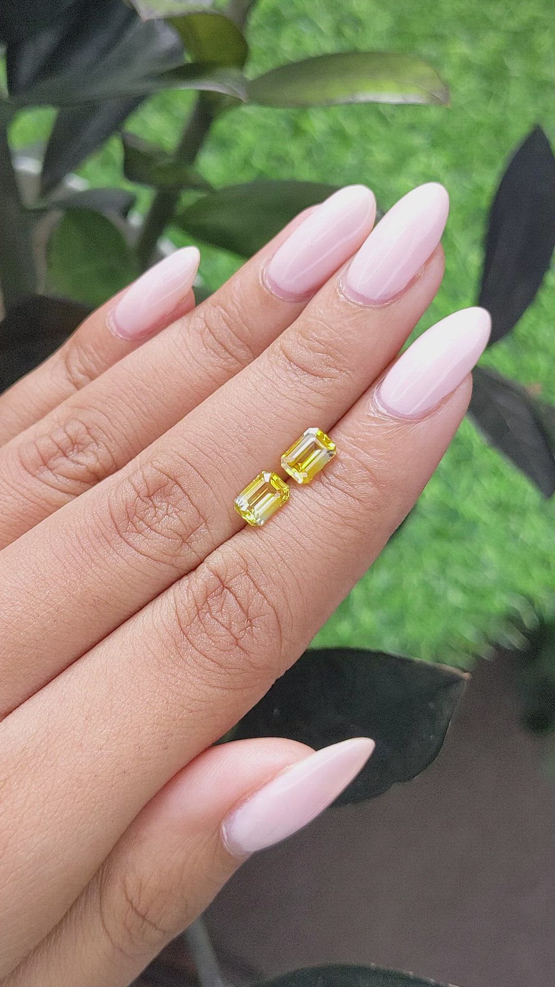 2.06&nbsp;Ct.Tw.Total Carat Weight Bi Color Sapphire Pair from Ceylon (Sri Lanka) Size Video