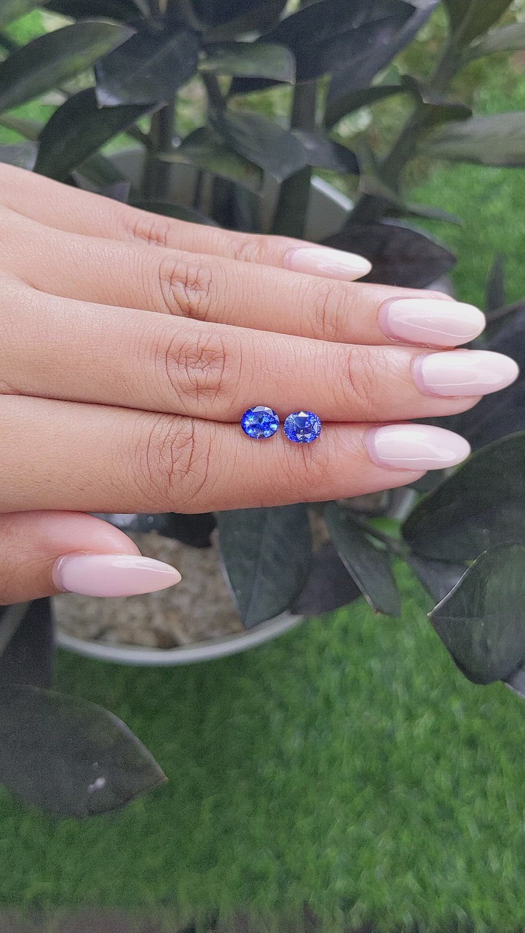 2.28&nbsp;Ct.Tw.Total Carat Weight Blue Sapphire Pair from Ceylon (Sri Lanka) Size Video