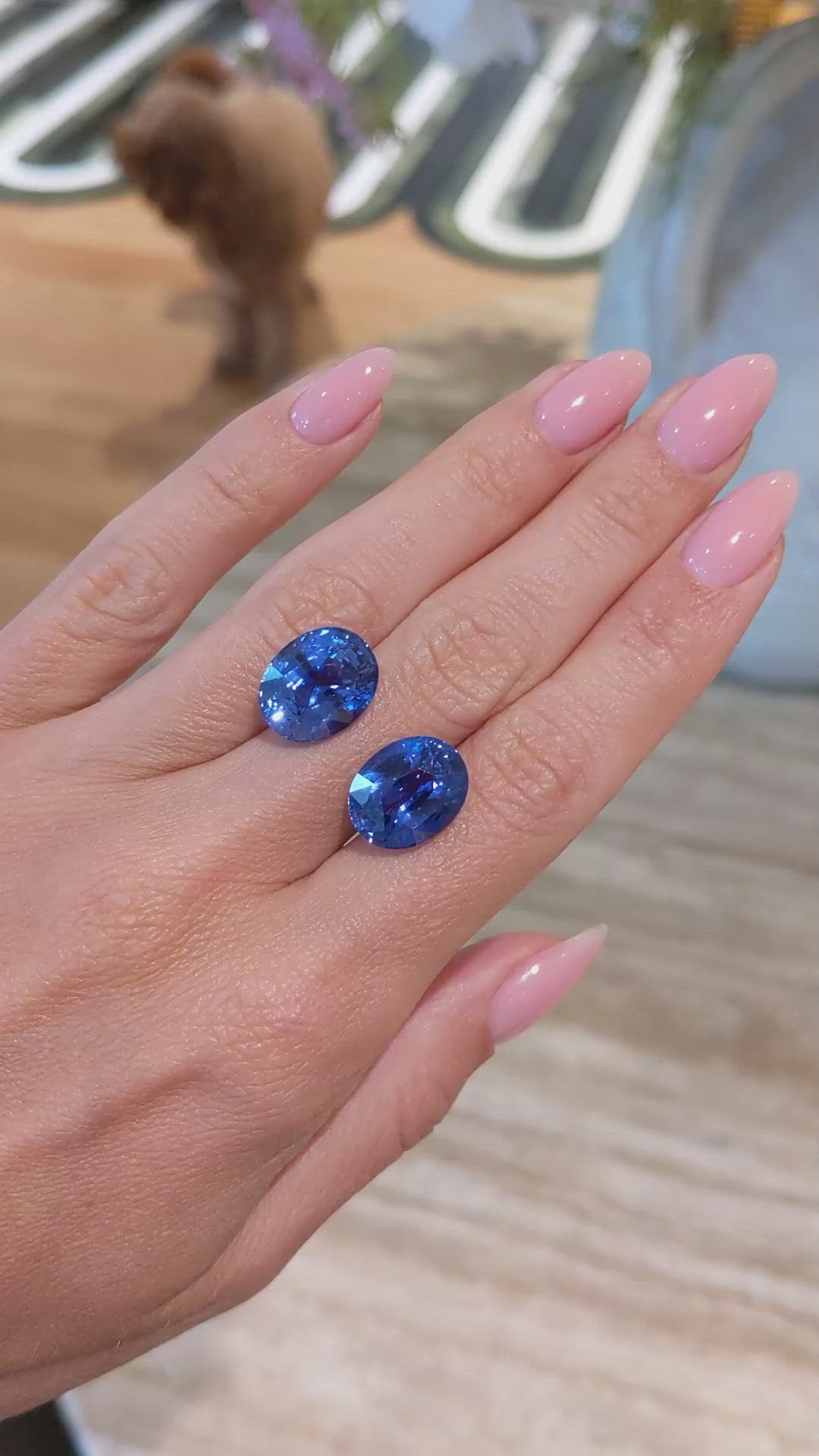 20.63&nbsp;Ct.Tw.Total Carat Weight Blue Sapphire Pair from Ceylon (Sri Lanka) Size Video