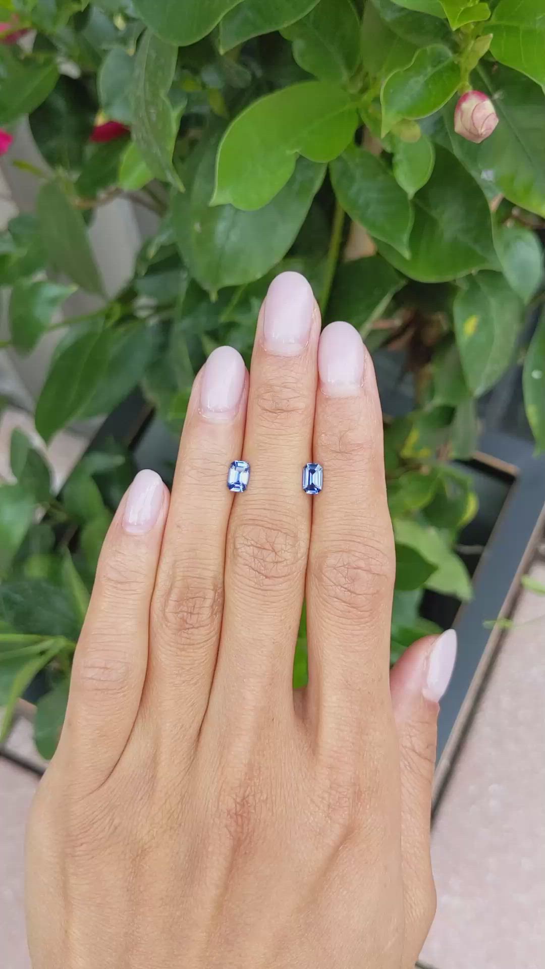 1.25&nbsp;Ct.Tw.Total Carat Weight Blue Sapphire Pair from Ceylon (Sri Lanka) Size Video