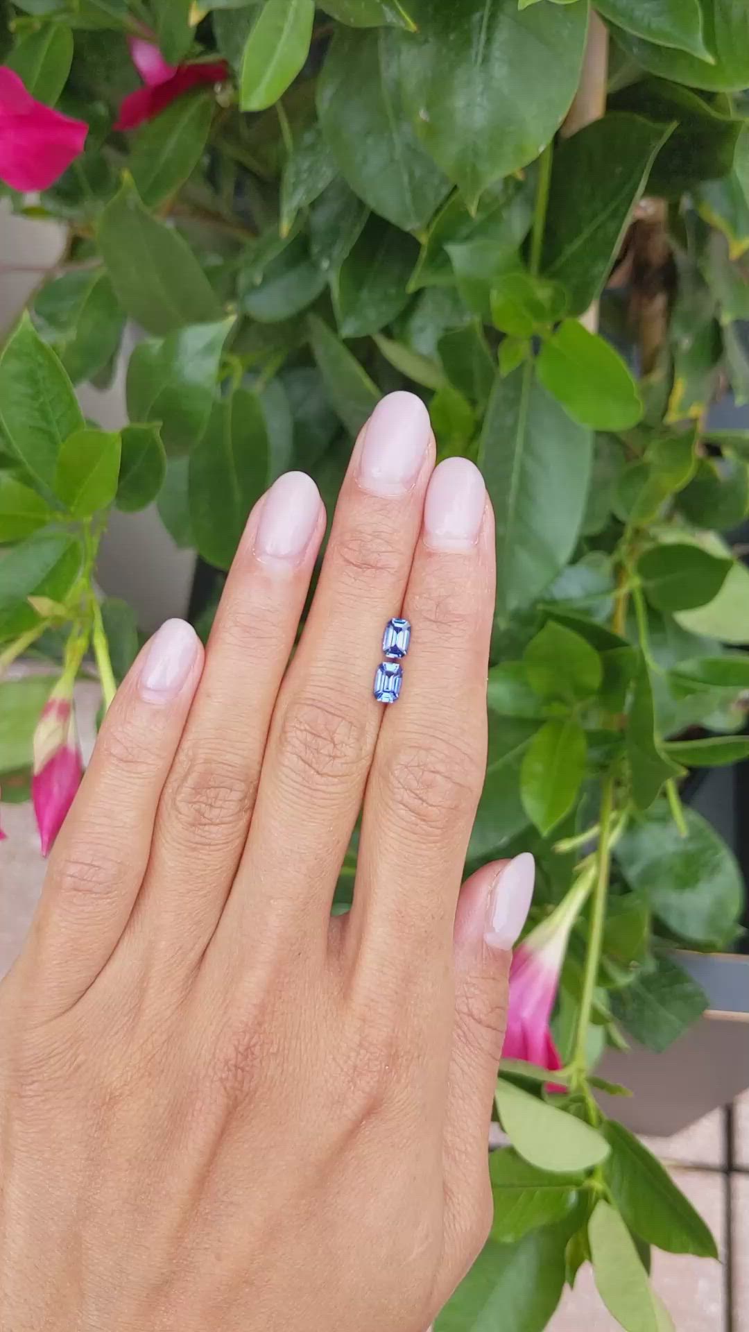 1.25&nbsp;Ct.Tw.Total Carat Weight Blue Sapphire Pair from Ceylon (Sri Lanka) Size Video