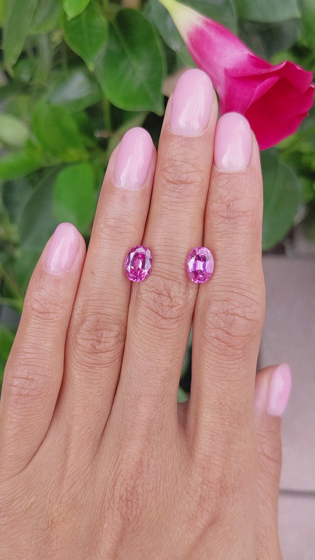 4.81&nbsp;Ct.Tw.Total Carat Weight Pink Sapphire Pair from Madagascar Size Video
