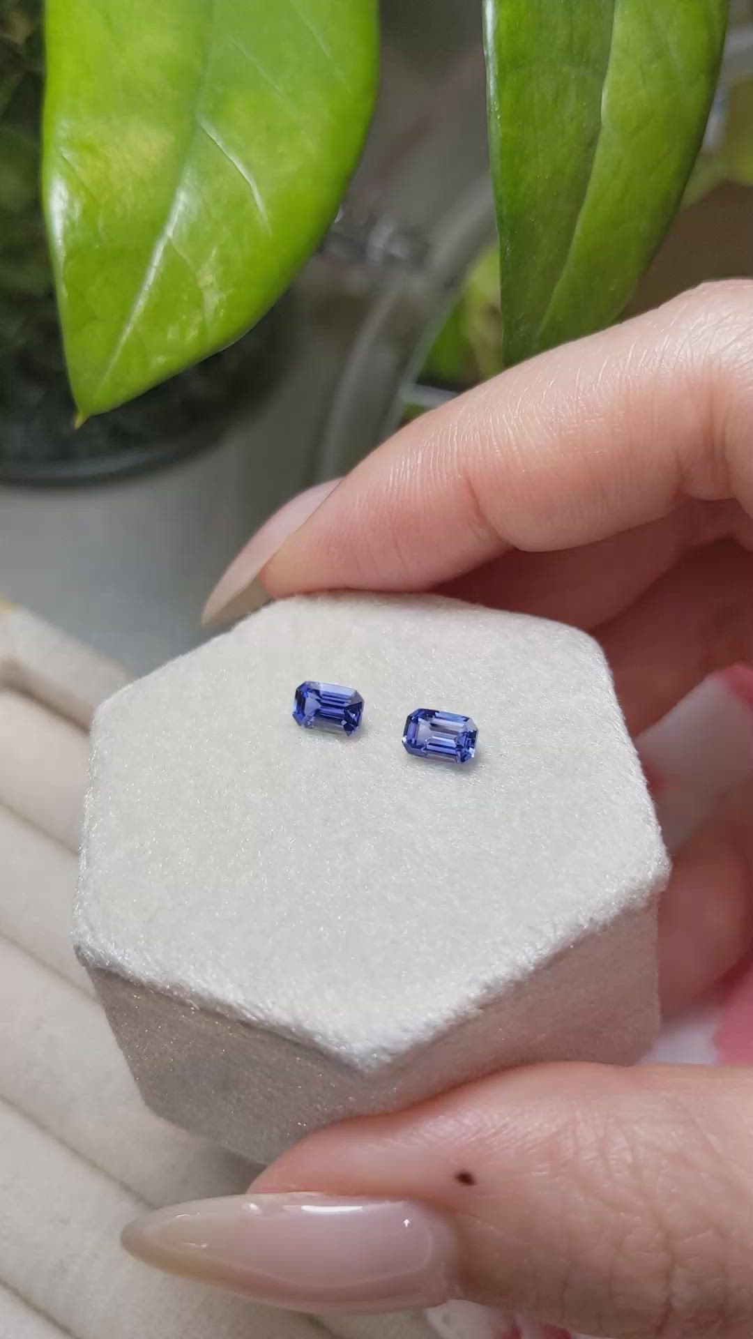 1.33&nbsp;Ct.Tw.Total Carat Weight Blue Sapphire Pair from Ceylon (Sri Lanka) Size Video