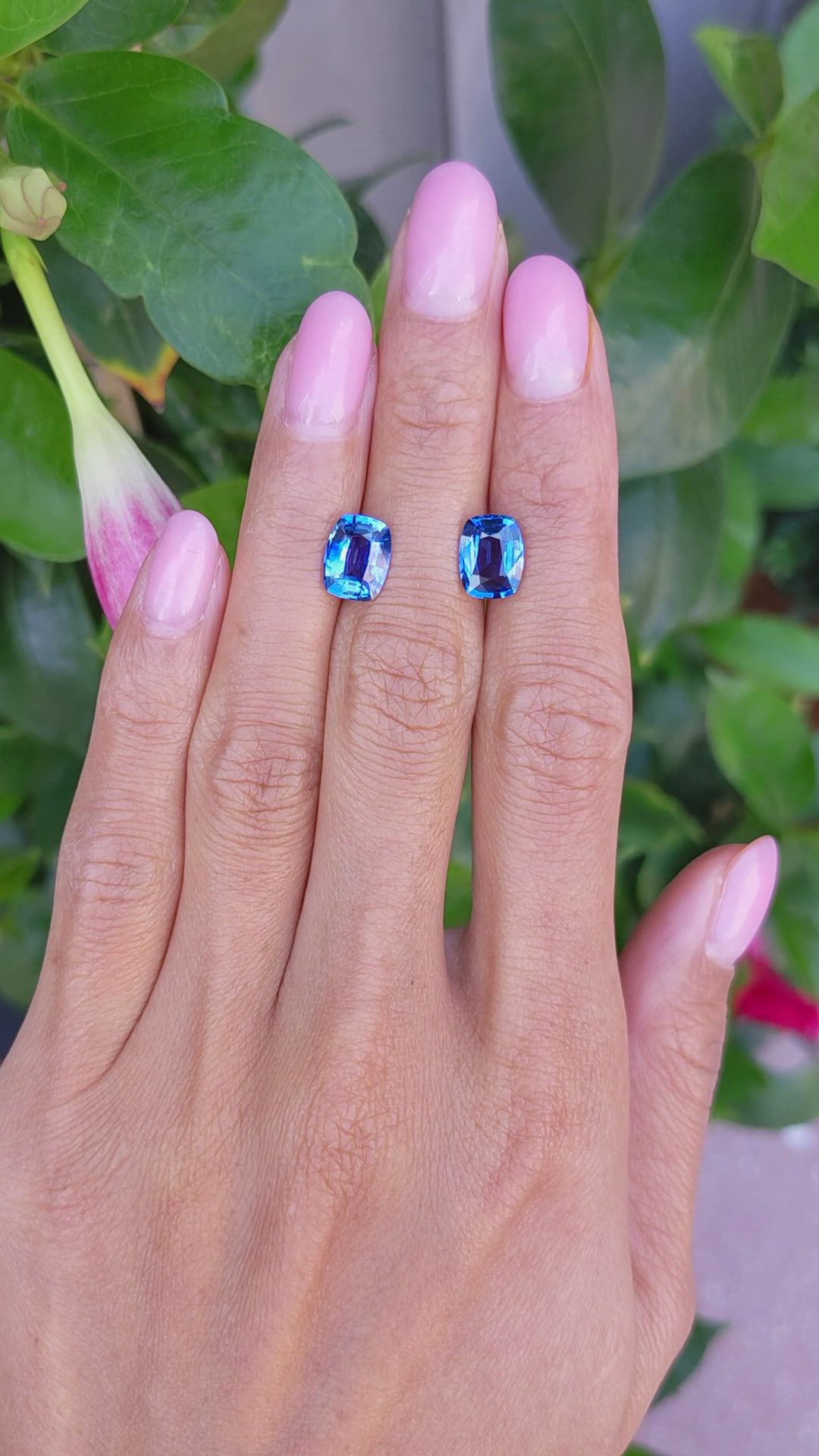 4.62 Ct.Tw.Total Carat Weight Blue Sapphire Pair from Ceylon (Sri Lanka) Size Video