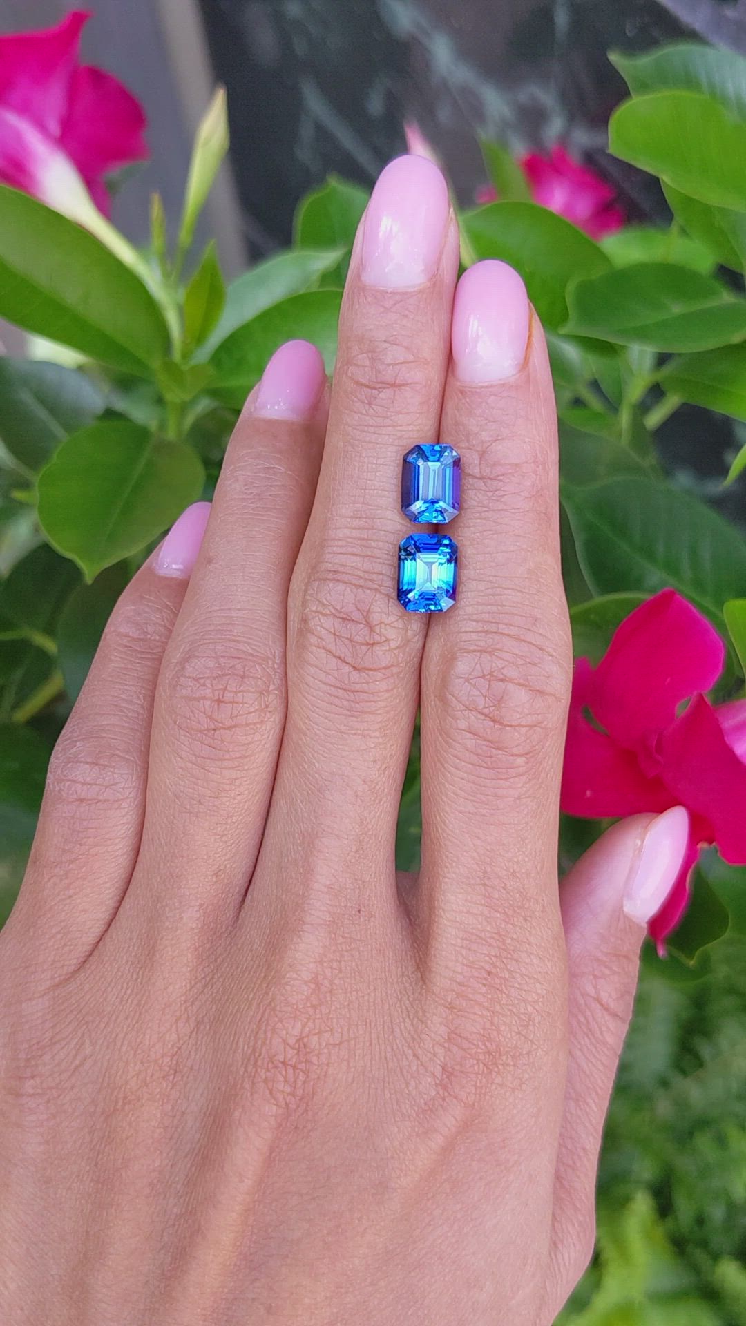 6.27&nbsp;Ct.Tw.Total Carat Weight Blue Sapphire Pair from Ceylon (Sri Lanka) Size Video