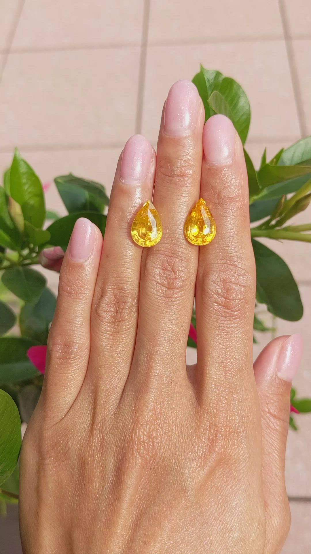 10.06 Ct.Tw.Total Carat Weight Yellow Sapphire Pair from Ceylon (Sri Lanka) Size Video