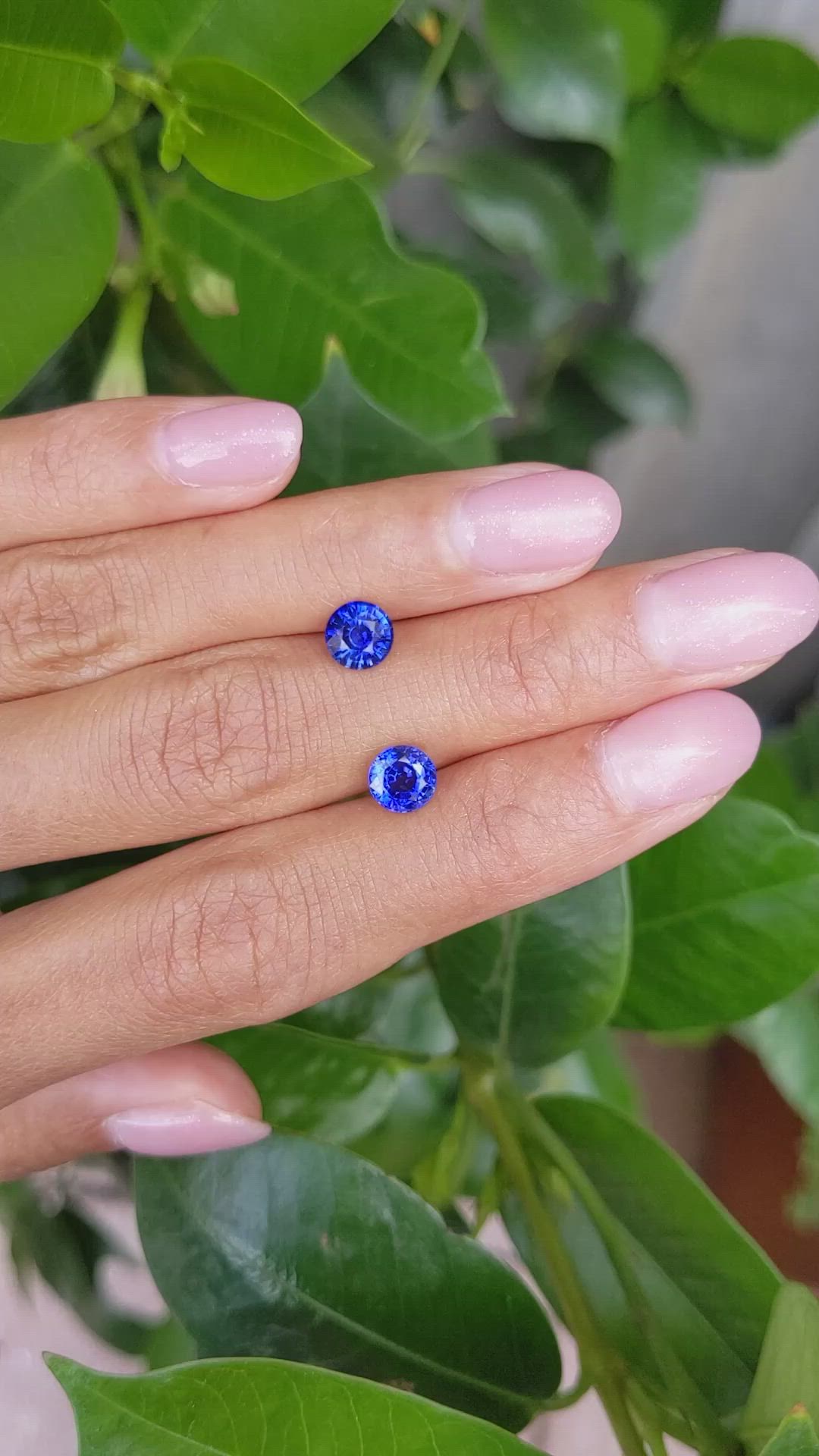 2.43 Ct.Tw.Total Carat Weight Blue Sapphire Pair from Ceylon (Sri Lanka) Size Video