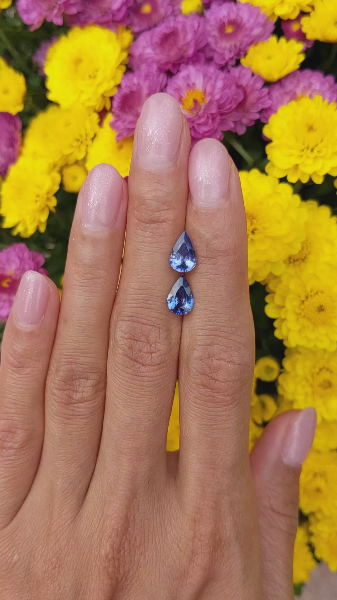 2.82&nbsp;Ct.Tw.Total Carat Weight Blue Sapphire Pair from Ceylon (Sri Lanka) Size Video