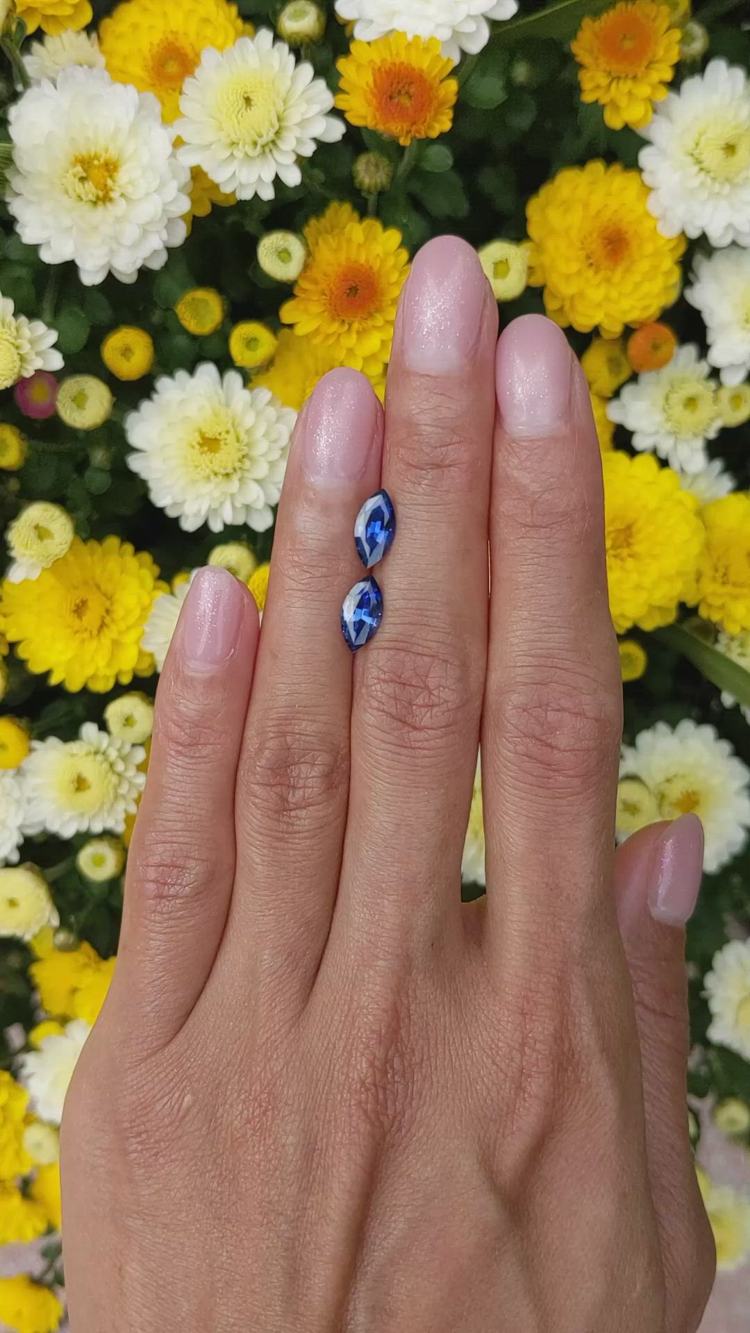 2.26&nbsp;Ct.Tw.Total Carat Weight Blue Sapphire Pair from Madagascar Size Video