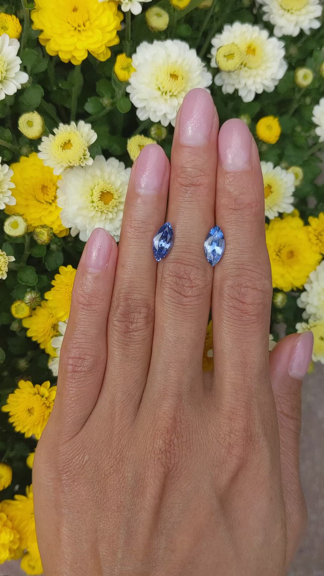 4.15&nbsp;Ct.Tw.Total Carat Weight Blue Sapphire Pair from Madagascar Size Video