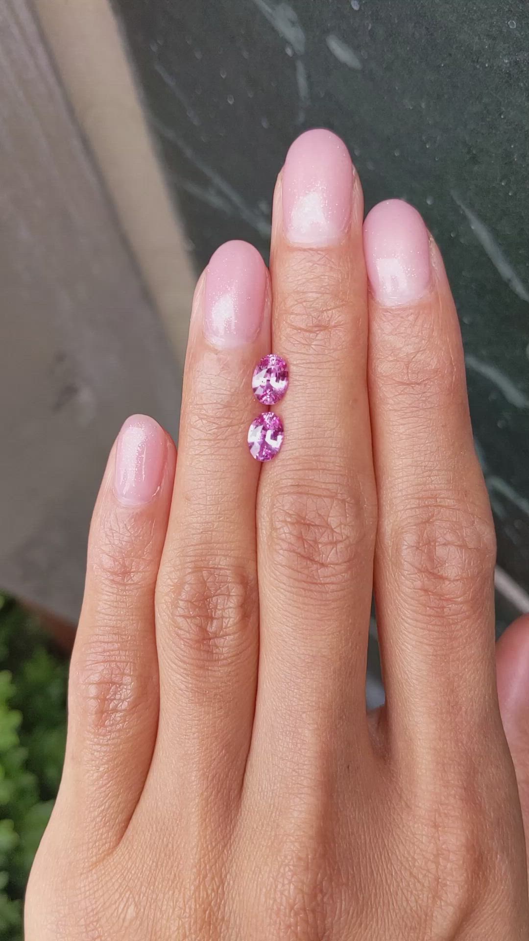 1.63&nbsp;Ct.Tw.Total Carat Weight Pink Sapphire Pair from Ceylon (Sri Lanka) Size Video