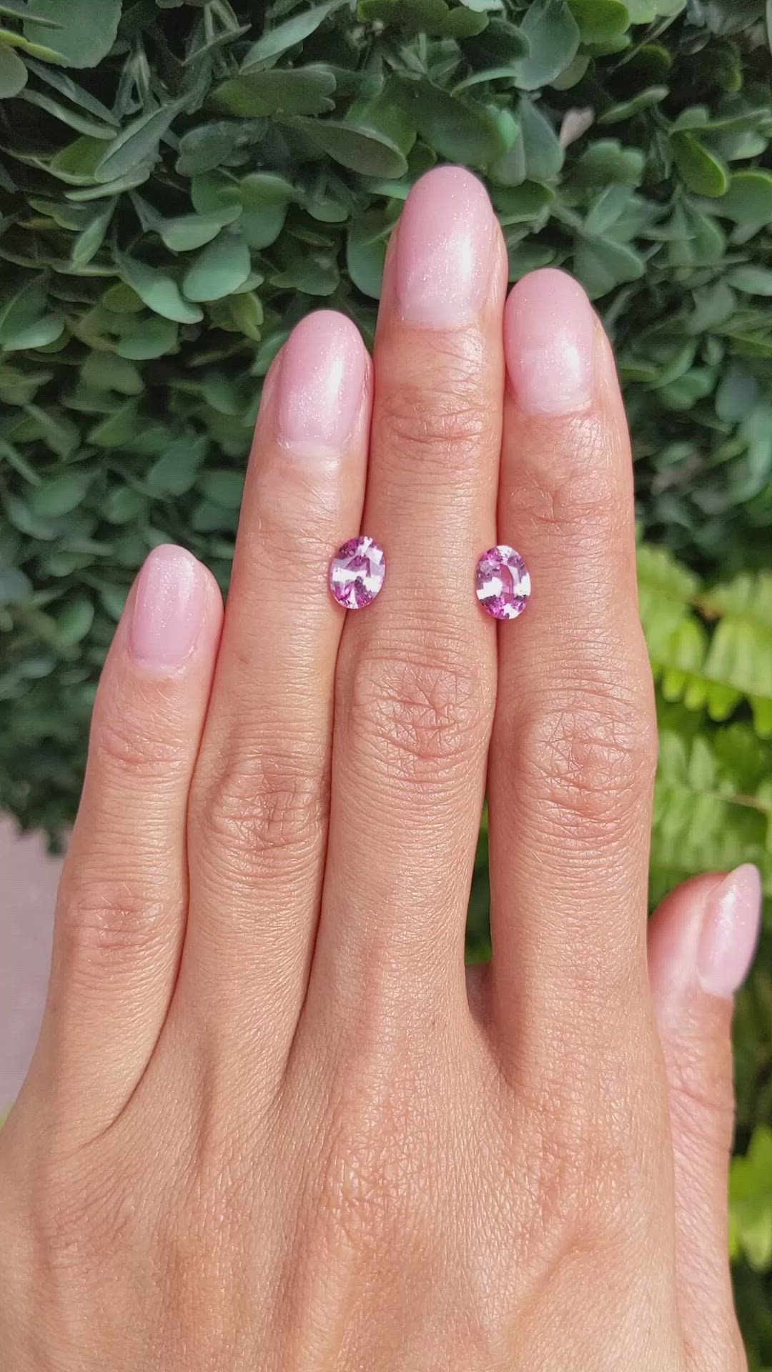 0.97 Ct.Tw.Total Carat Weight Pink Sapphire Pair from Ceylon (Sri Lanka) Size Video