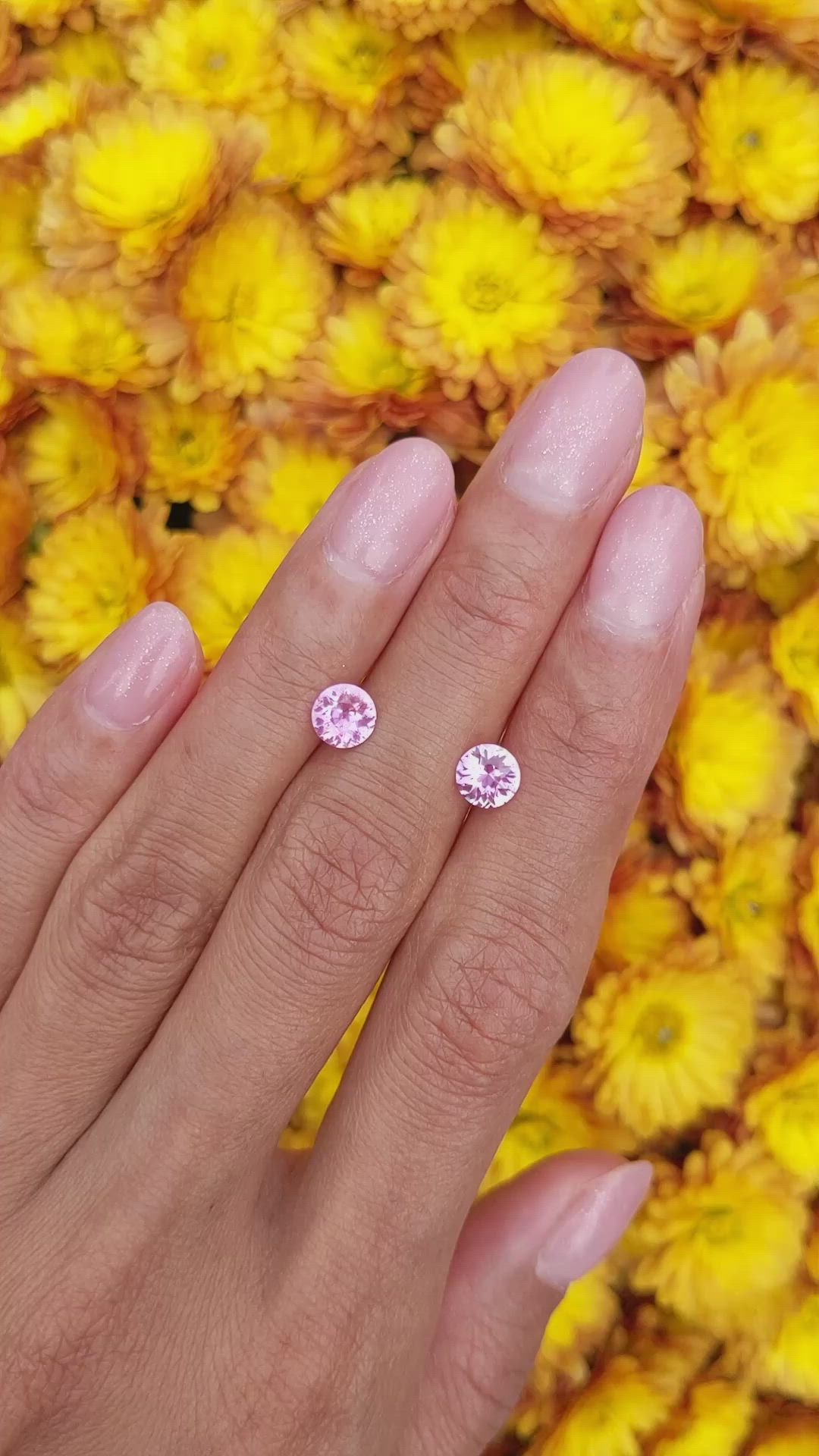 1.77 Ct.Tw.Total Carat Weight Pink Sapphire Pair from Ceylon (Sri Lanka) Size Video