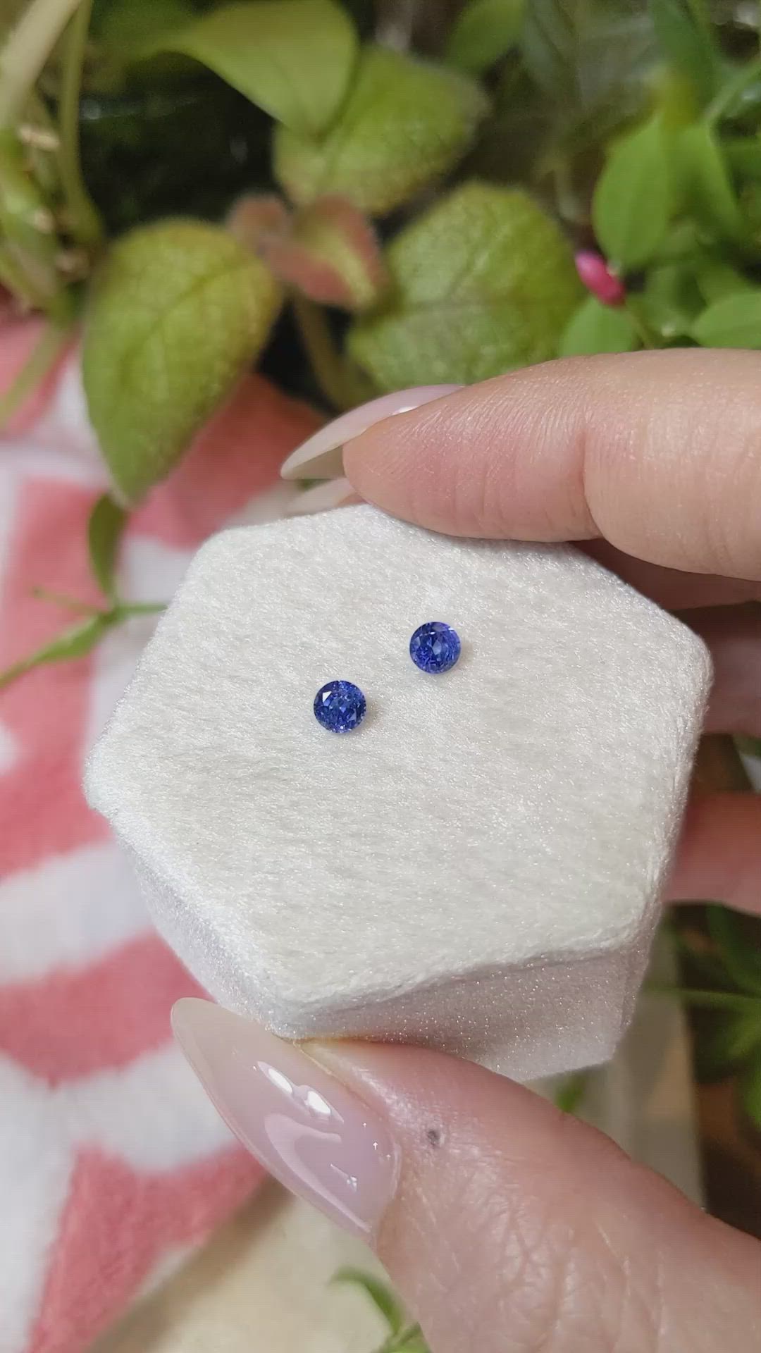 0.66&nbsp;Ct.Tw.Total Carat Weight Blue Sapphire Pair from Ceylon (Sri Lanka) Size Video