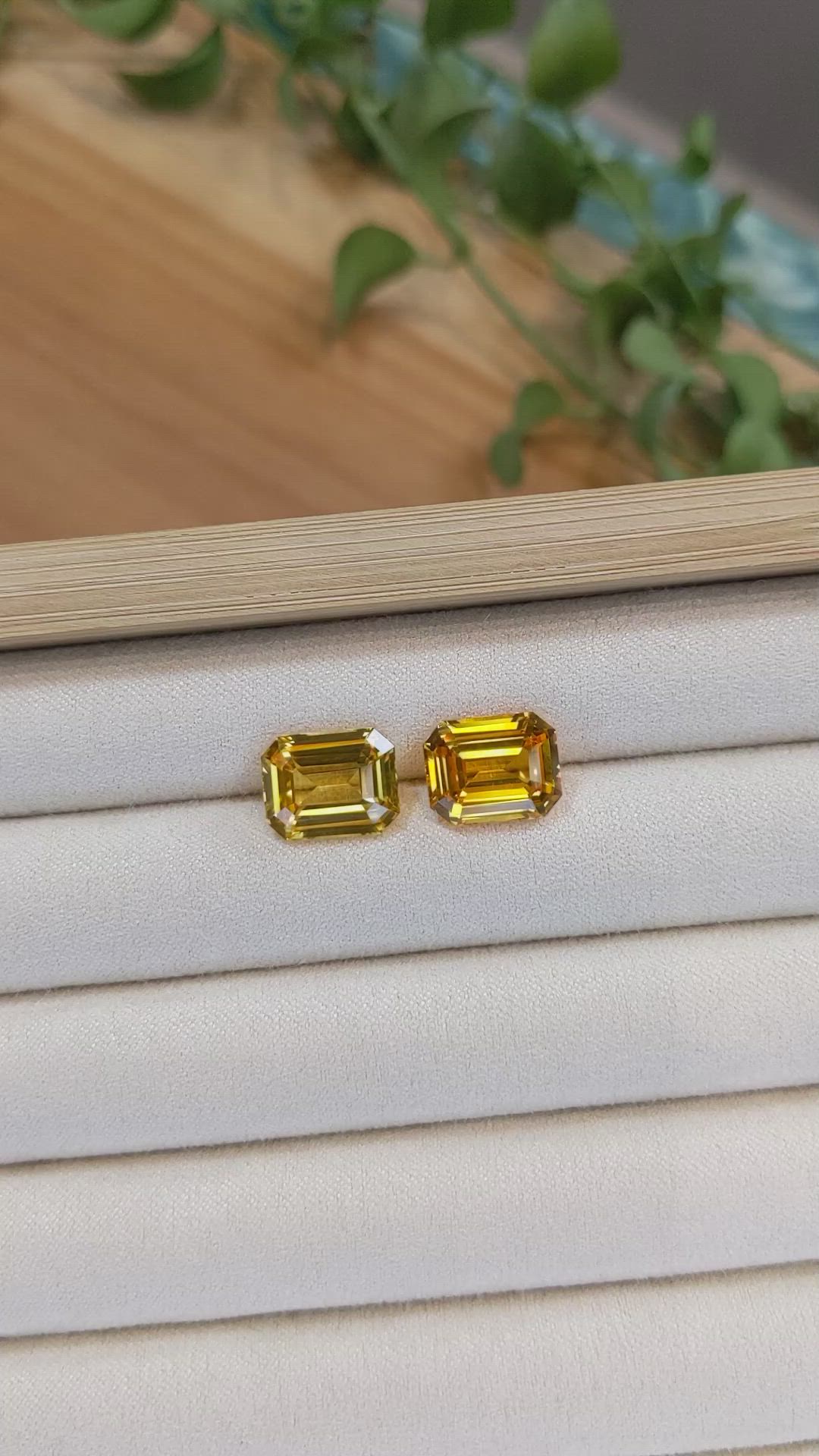 13.89&nbsp;Ct.Tw.Total Carat Weight Yellow Sapphire Pair from Ceylon (Sri Lanka) Size Video