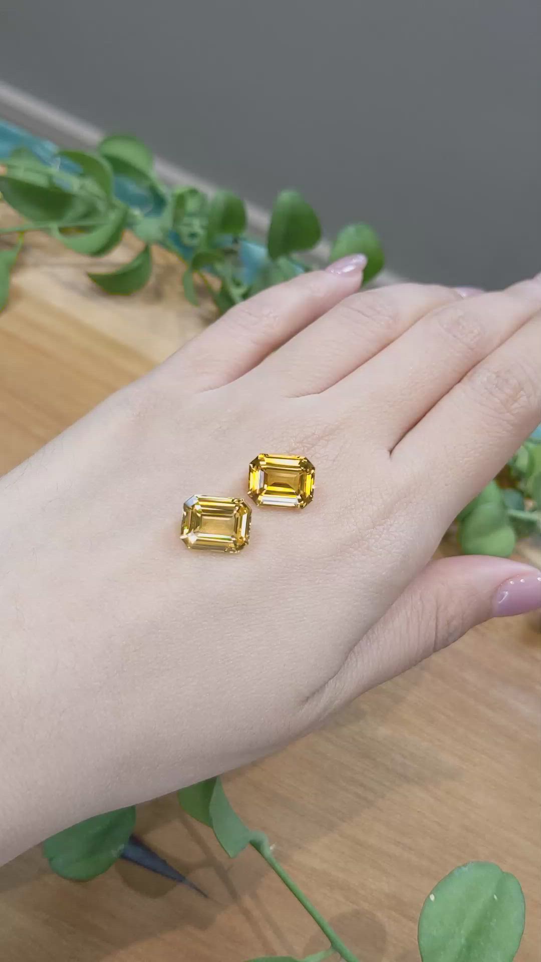 13.89&nbsp;Ct.Tw.Total Carat Weight Yellow Sapphire Pair from Ceylon (Sri Lanka) Size Video