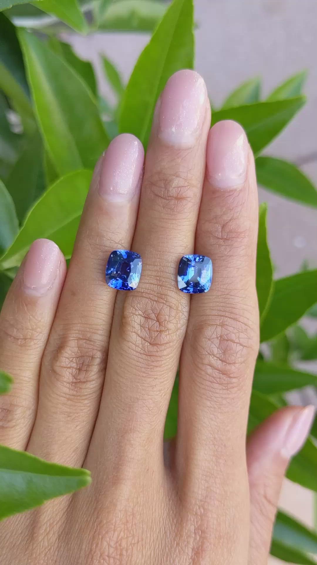 6.64 Ct.Tw.Total Carat Weight Blue Sapphire Pair from Ceylon (Sri Lanka) Size Video