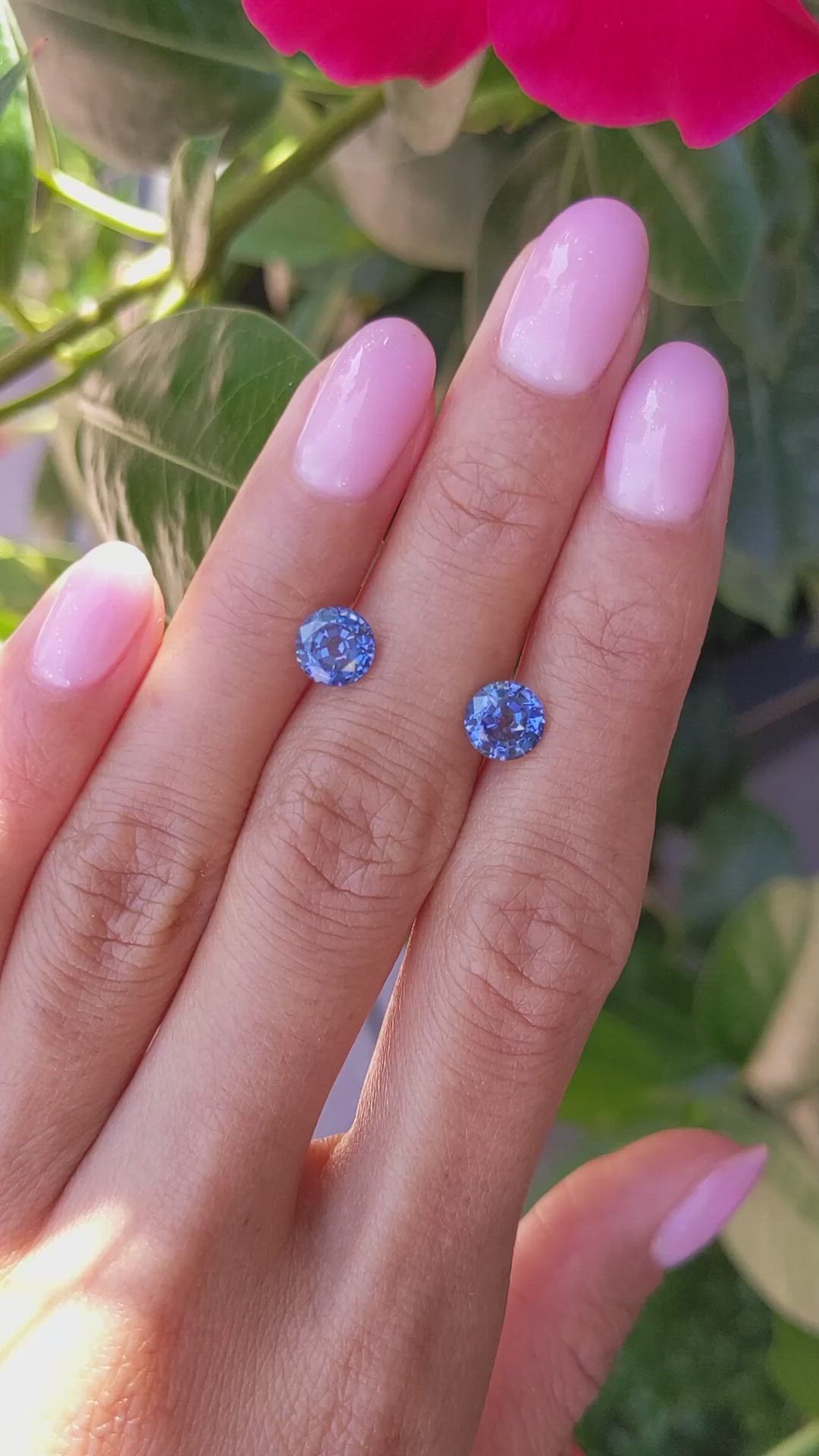 2.78&nbsp;Ct.Tw.Total Carat Weight Blue Sapphire Pair from Ceylon (Sri Lanka) Size Video