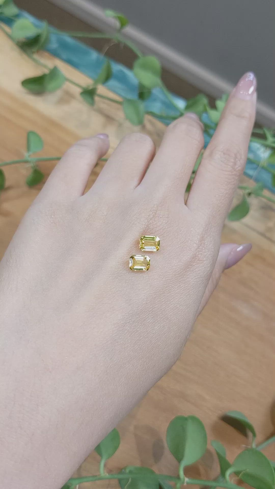 2.26 Ct.Tw.Total Carat Weight Yellow Sapphire Pair from Ceylon (Sri Lanka) Size Video