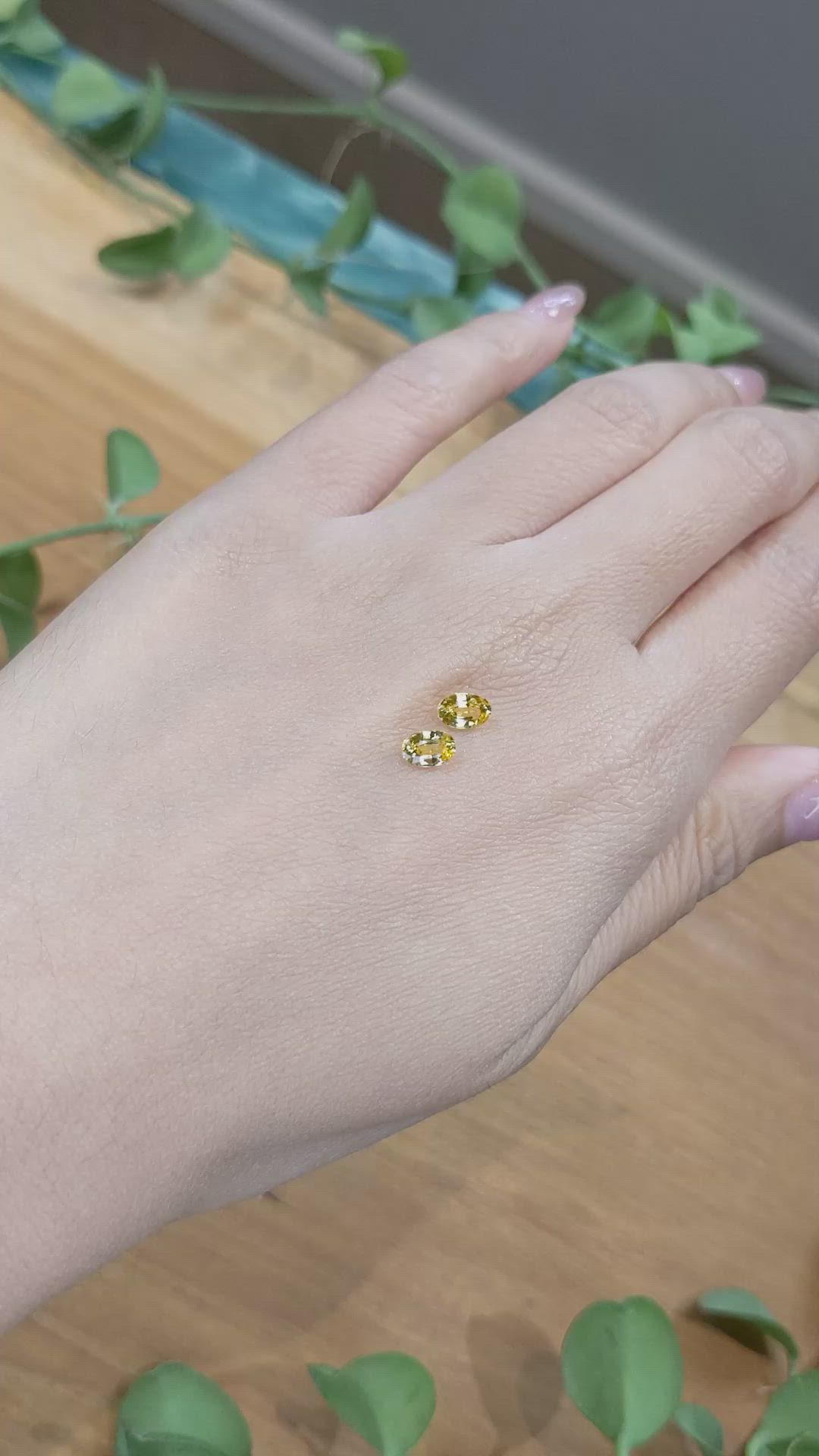 1.22&nbsp;Ct.Tw.Total Carat Weight Yellow Sapphire Pair from Ceylon (Sri Lanka) Size Video