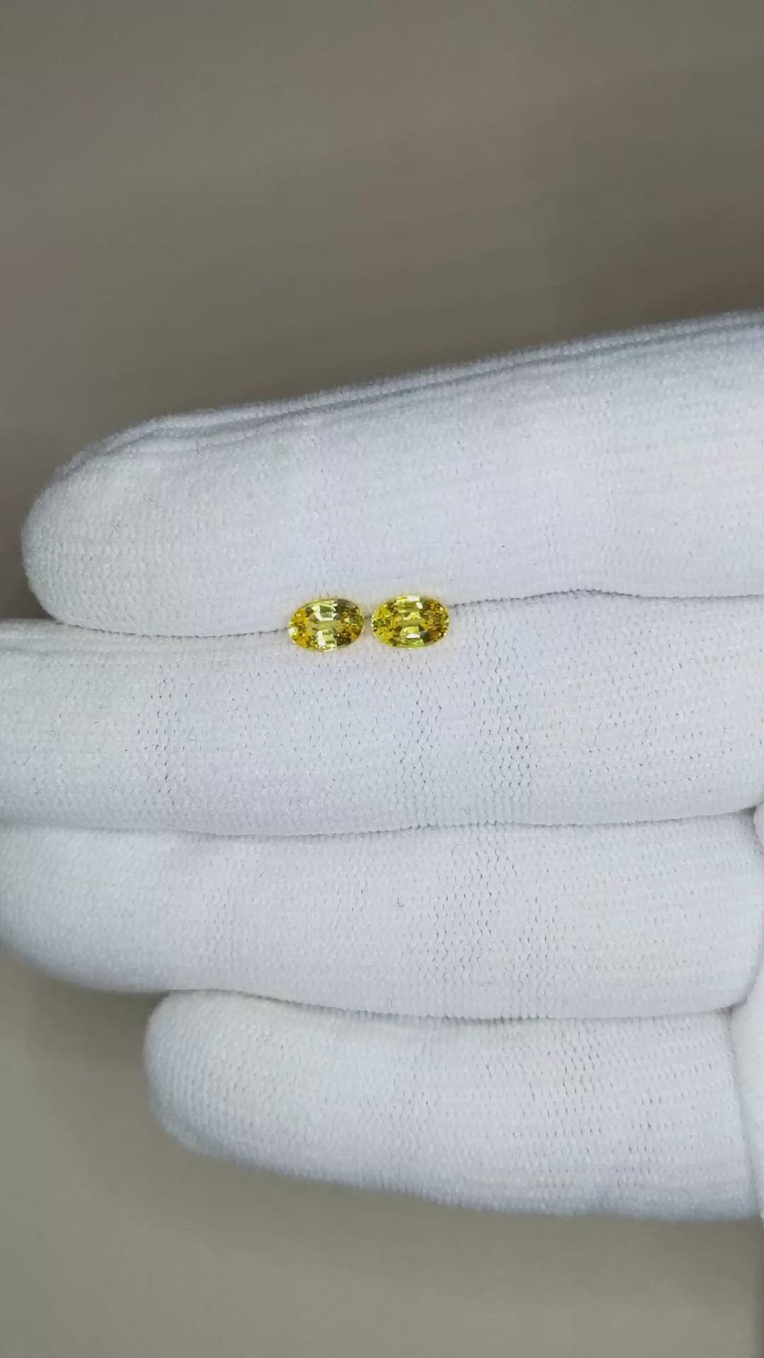 1.22&nbsp;Ct.Tw.Total Carat Weight Yellow Sapphire Pair from Ceylon (Sri Lanka) Size Video