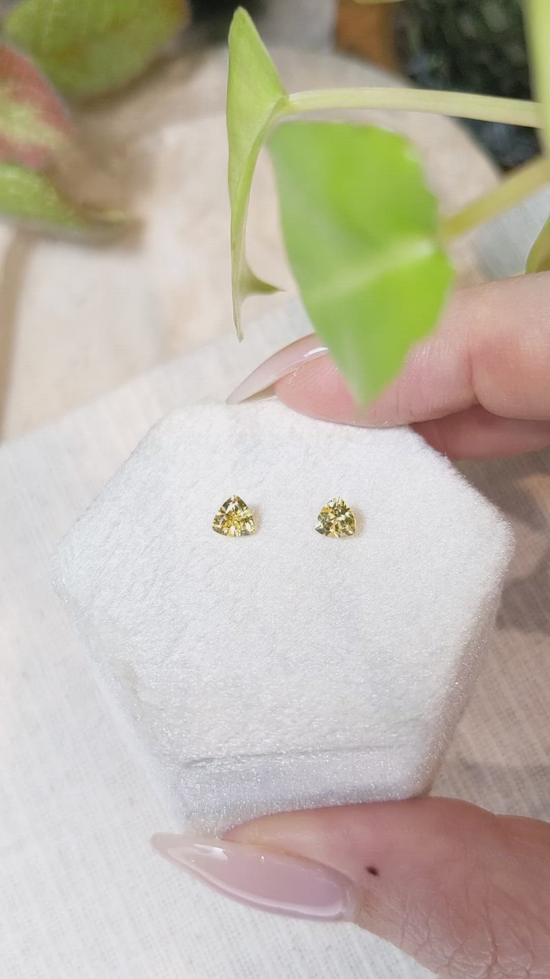 0.74 Ct.Tw.Total Carat Weight Yellow Sapphire Pair from Ceylon (Sri Lanka) Size Video