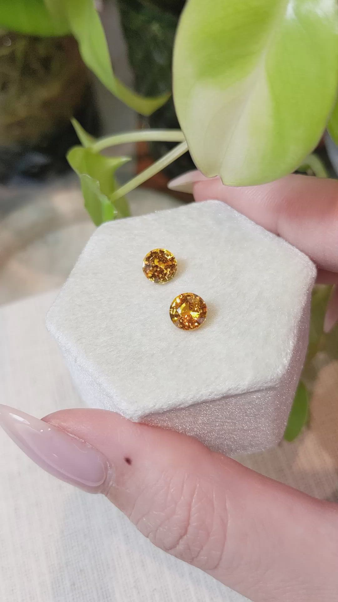 2.52 Ct.Tw.Total Carat Weight Orange Sapphire Pair from Ceylon (Sri Lanka) Size Video