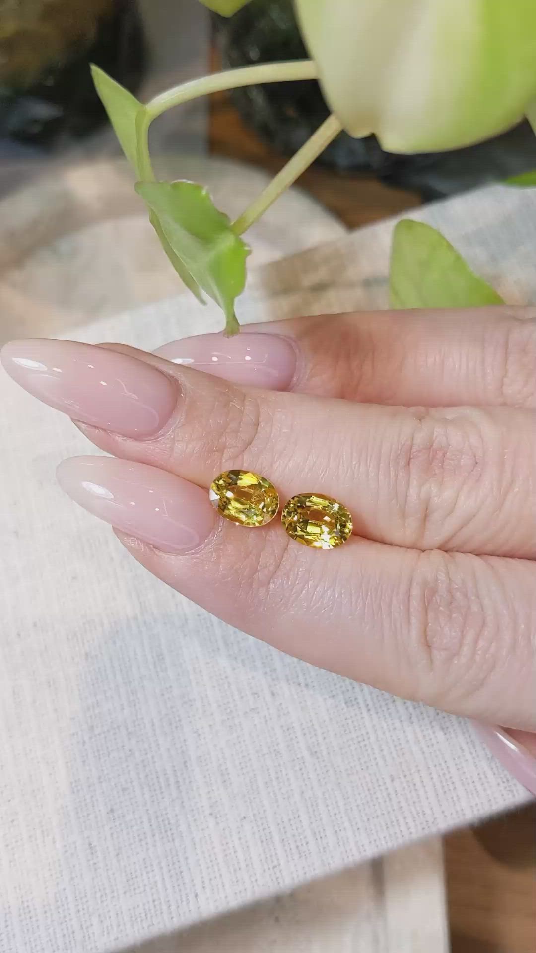 3.83 Ct.Tw.Total Carat Weight Yellow Sapphire Pair from Ceylon (Sri Lanka) Size Video