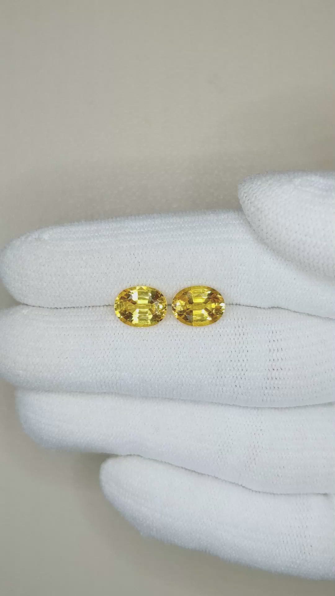 3.51&nbsp;Ct.Tw.Total Carat Weight Orangish Yellow Sapphire Pair from Ceylon (Sri Lanka) Size Video