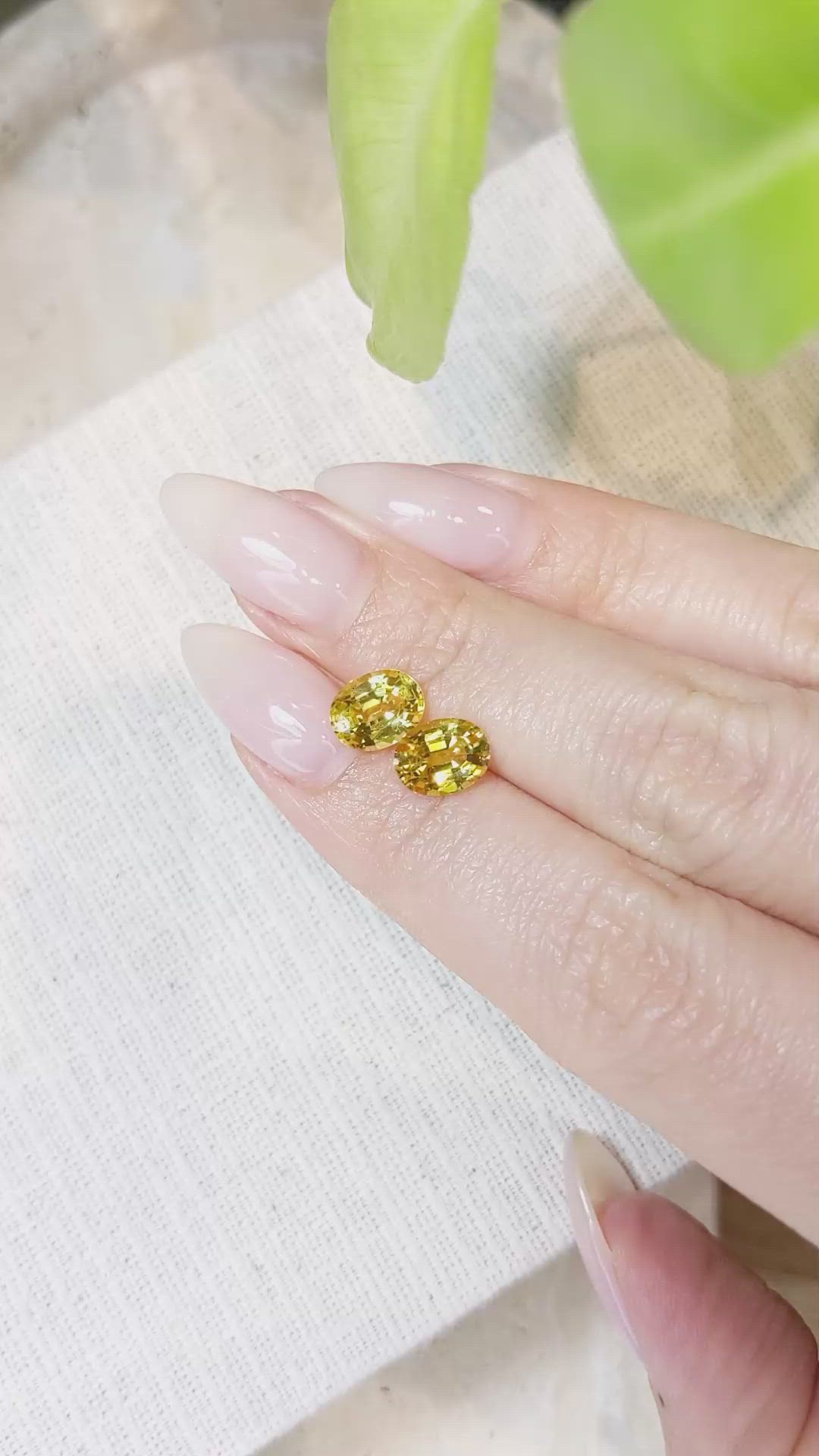 3.51&nbsp;Ct.Tw.Total Carat Weight Orangish Yellow Sapphire Pair from Ceylon (Sri Lanka) Size Video