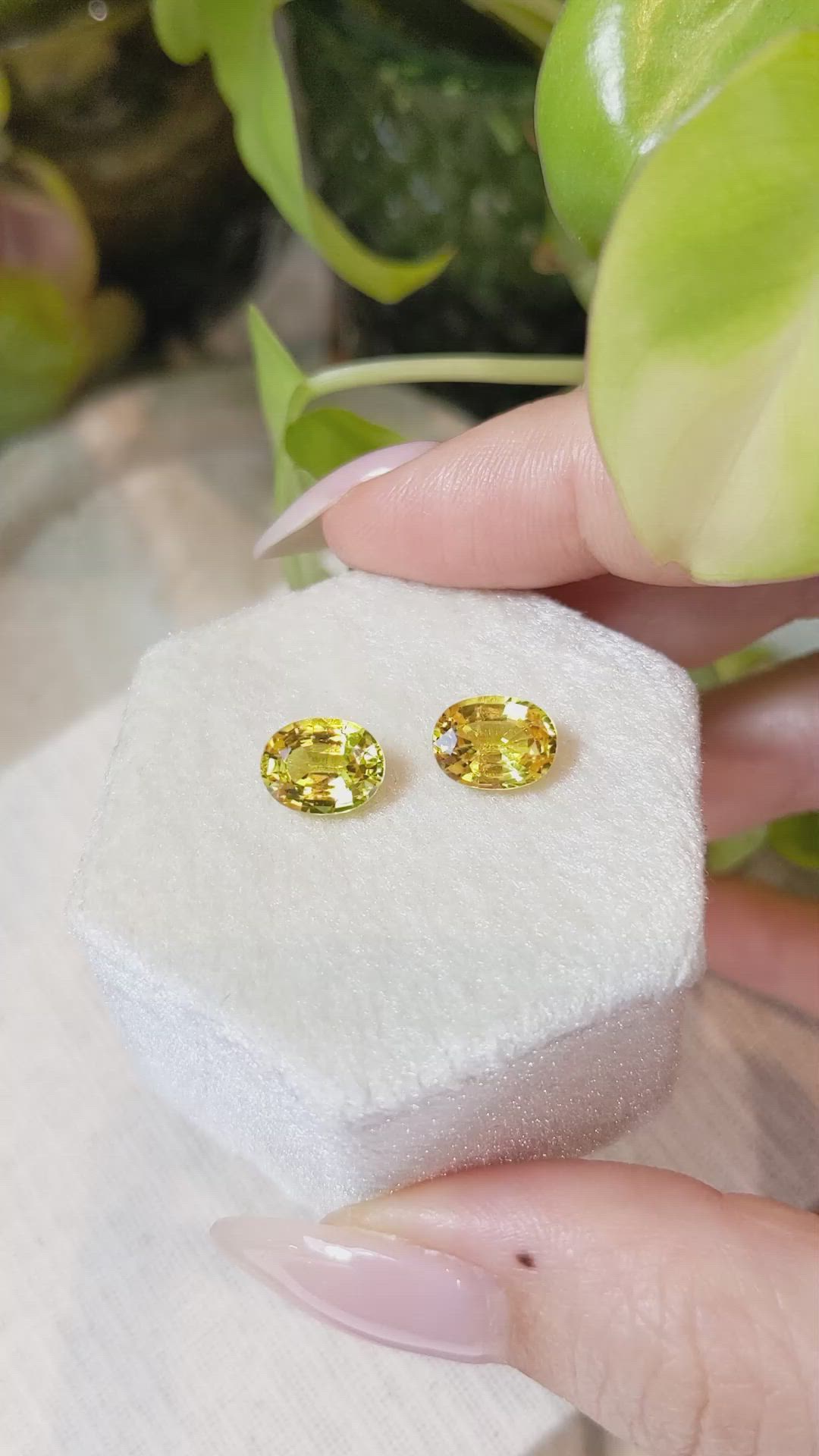 4.23 Ct.Tw.Total Carat Weight Yellow Sapphire Pair from Ceylon (Sri Lanka) Size Video
