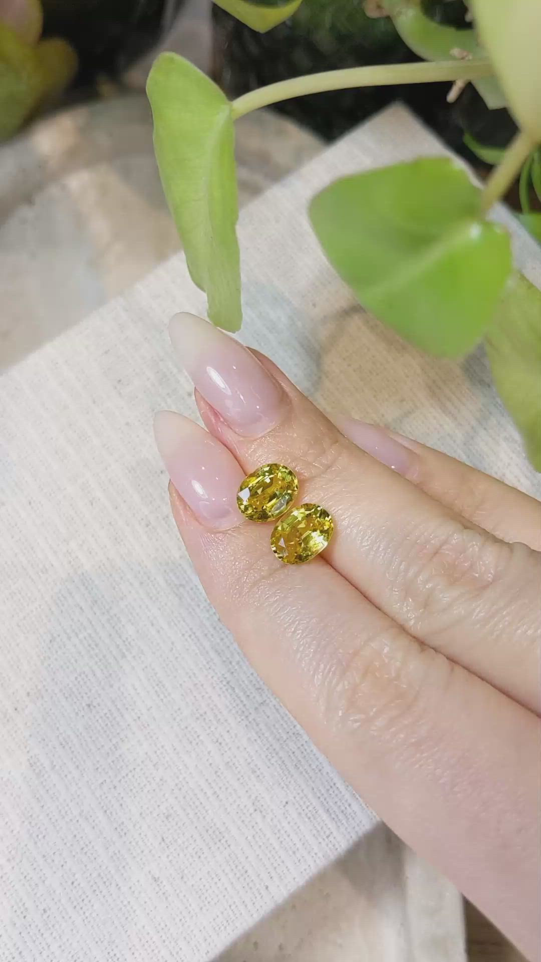 4.23 Ct.Tw.Total Carat Weight Yellow Sapphire Pair from Ceylon (Sri Lanka) Size Video