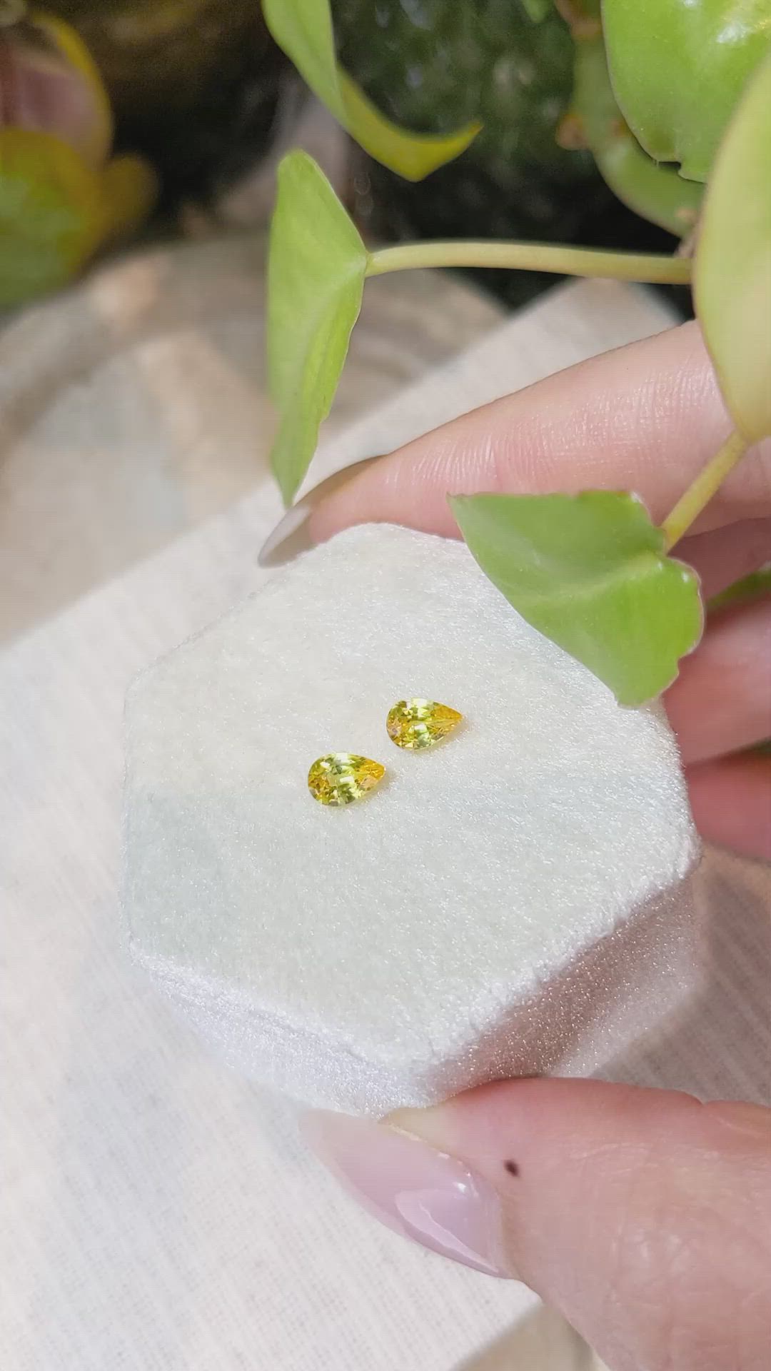 1.06 Ct.Tw.Total Carat Weight Yellow Sapphire Pair from Ceylon (Sri Lanka) Size Video