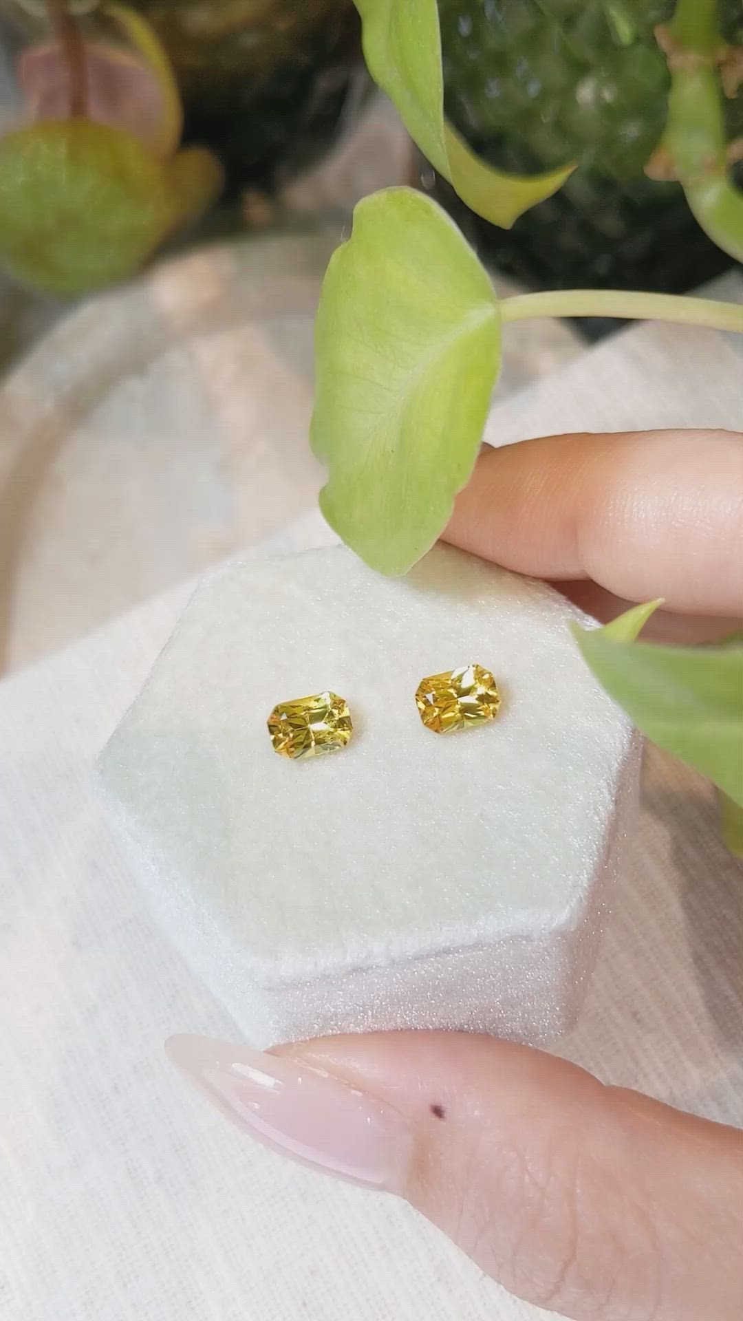2.32&nbsp;Ct.Tw.Total Carat Weight Yellow Sapphire Pair from Ceylon (Sri Lanka) Size Video
